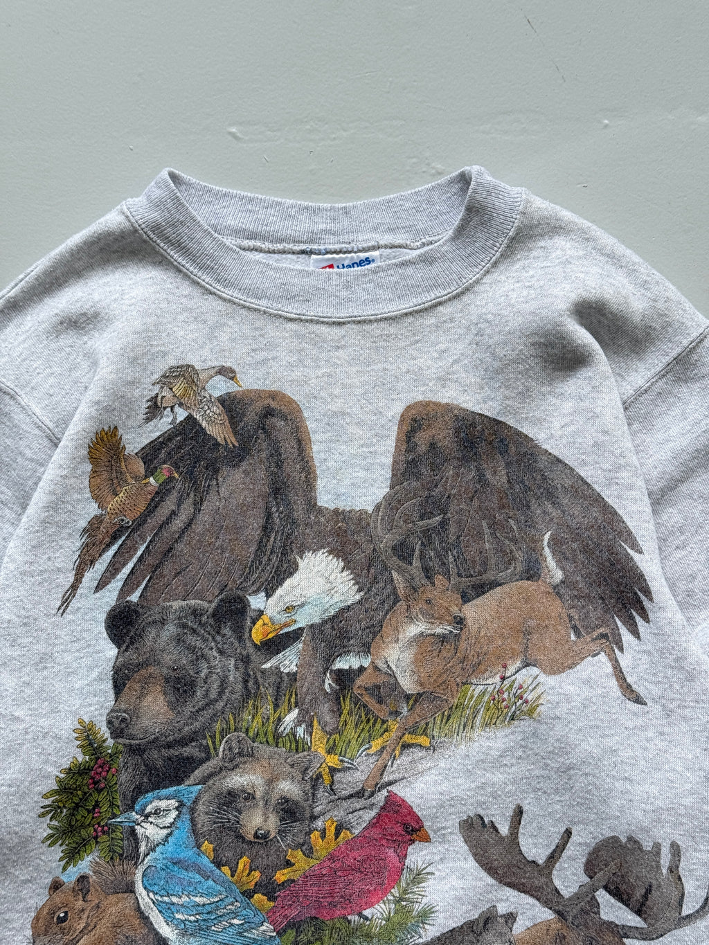 Hanes Activewear Wildlife Graphic 90's Vintage Sweatshirt - Women's 6