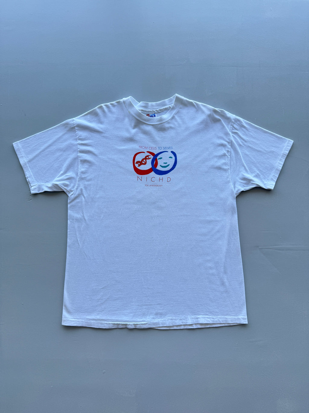 Hanes Beefy-T NICHD 30th Anniversary 90's Vintage Single Stitch T-Shirt - XL