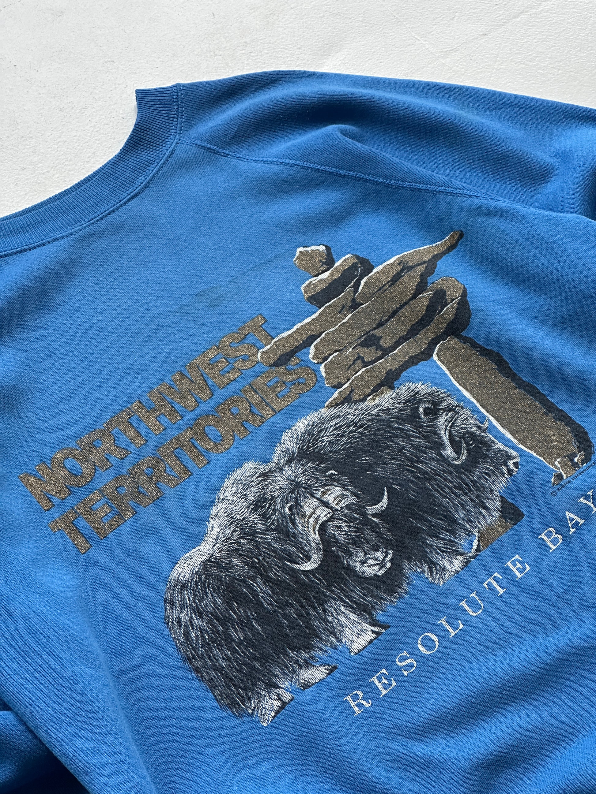 Blue Northwest Territories 90's Vintage Graphic Sweatshirt Jumper - Medium