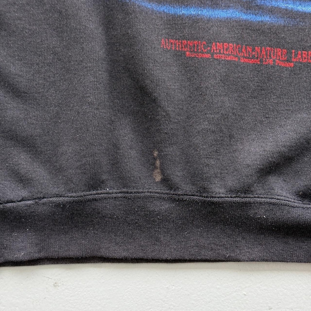 Faded Black Eagle 80’s Vintage Graphic Sweatshirt - Medium