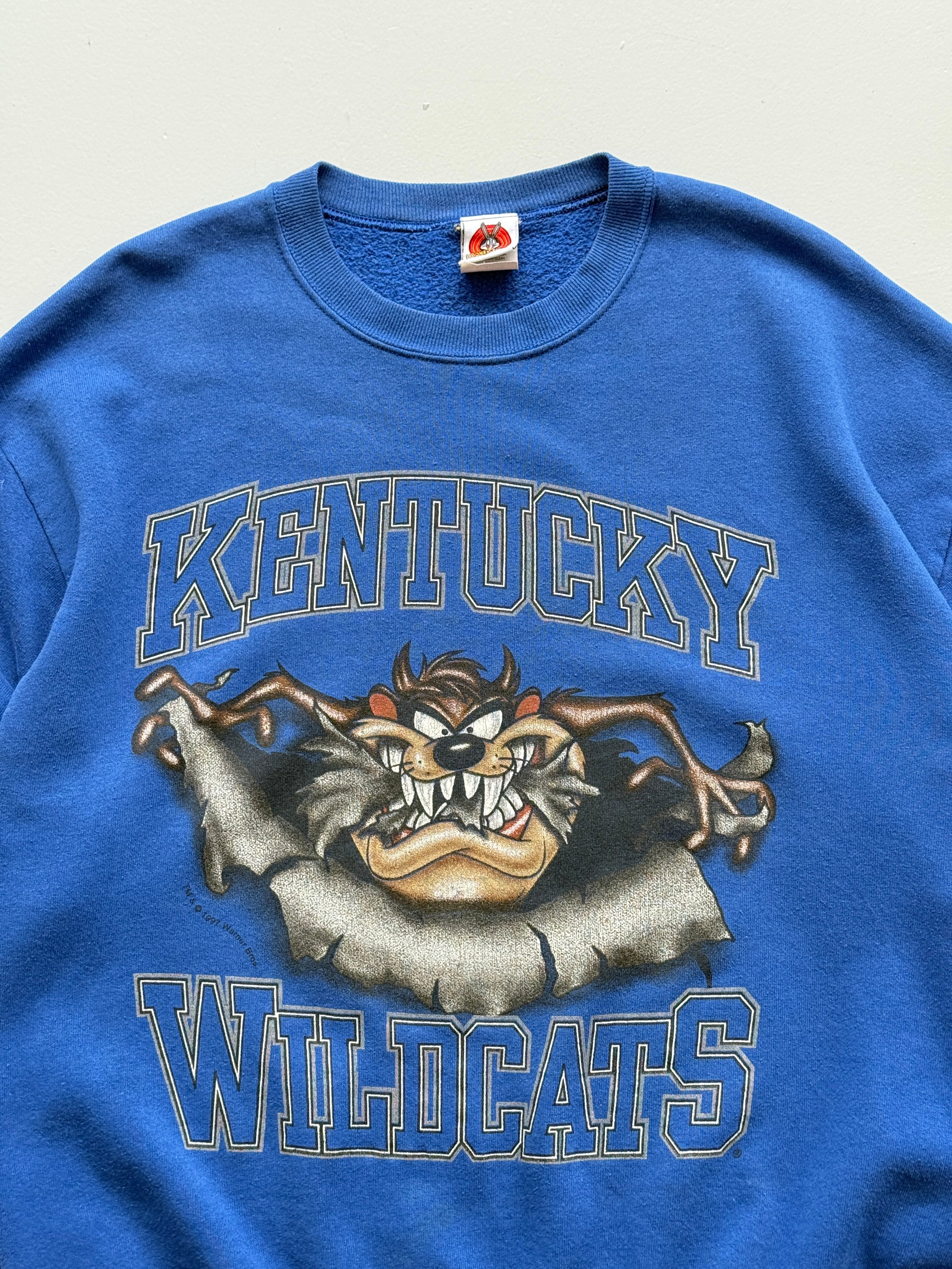 Looney Tunes Kentucky Wildcats Taz 90's Vintage Sweatshirt - XL