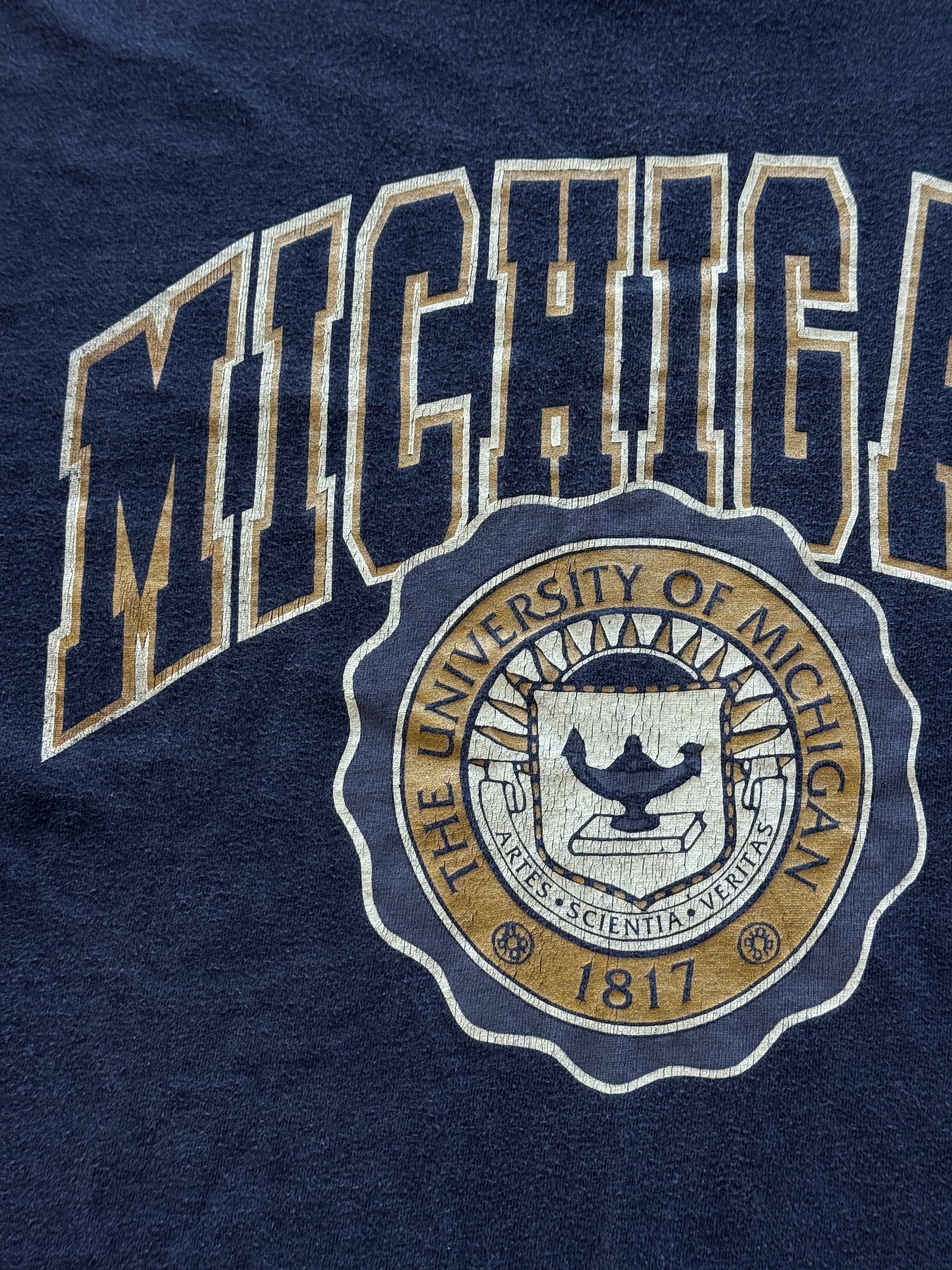 Black University of Michigan 90's Vintage Single Stitch Graphic T-Shirt - Large