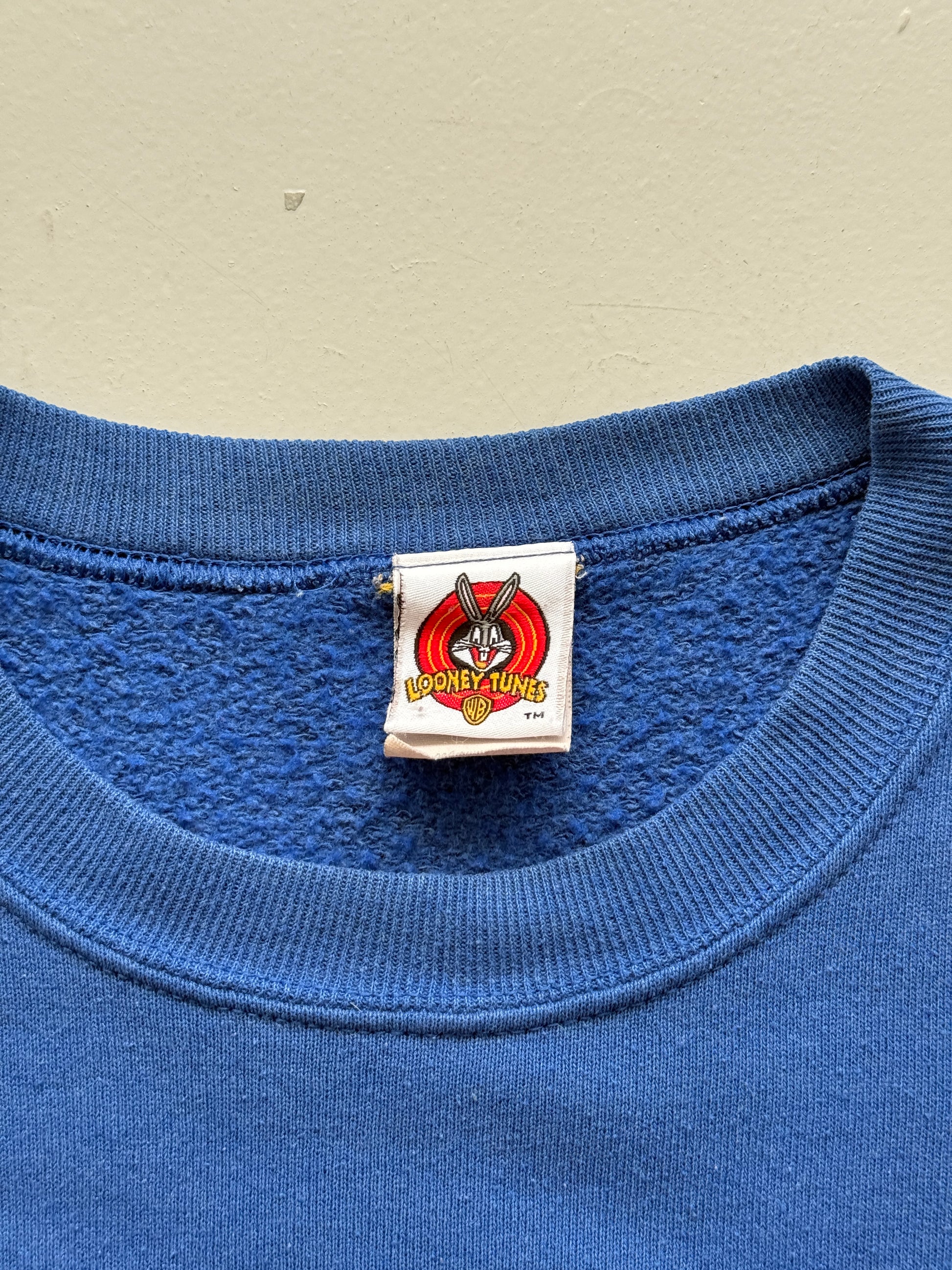 Looney Tunes Kentucky Wildcats Taz 90's Vintage Sweatshirt - XL