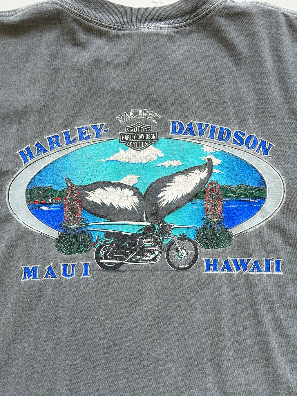 Grey Harley Davidson 90's Vintage Sun Faded Graphic T-Shirt - XL