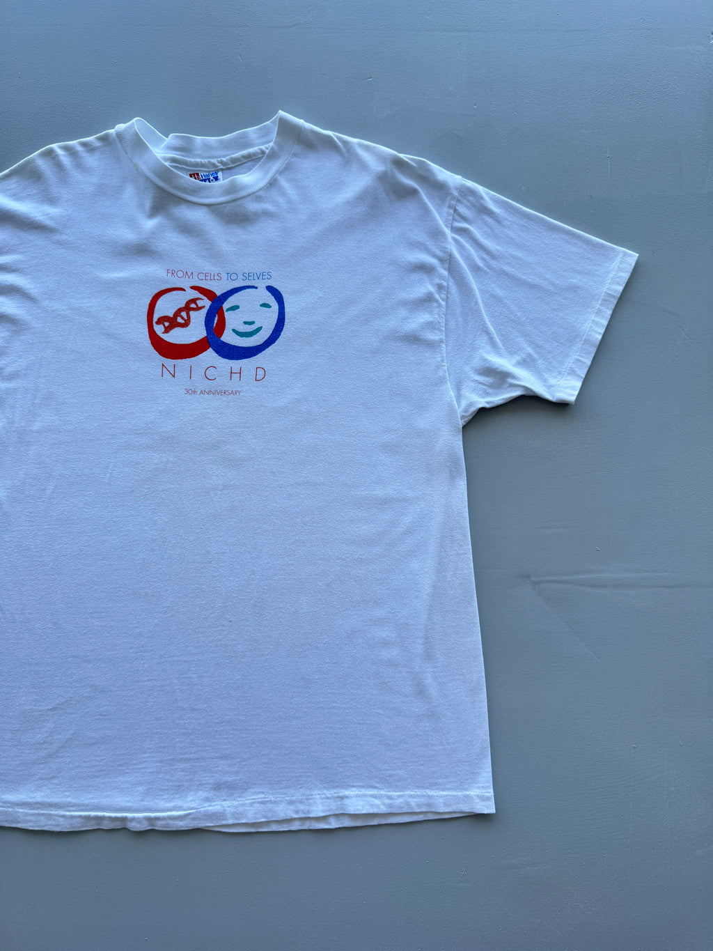 Hanes Beefy-T NICHD 30th Anniversary 90's Vintage Single Stitch T-Shirt - XL