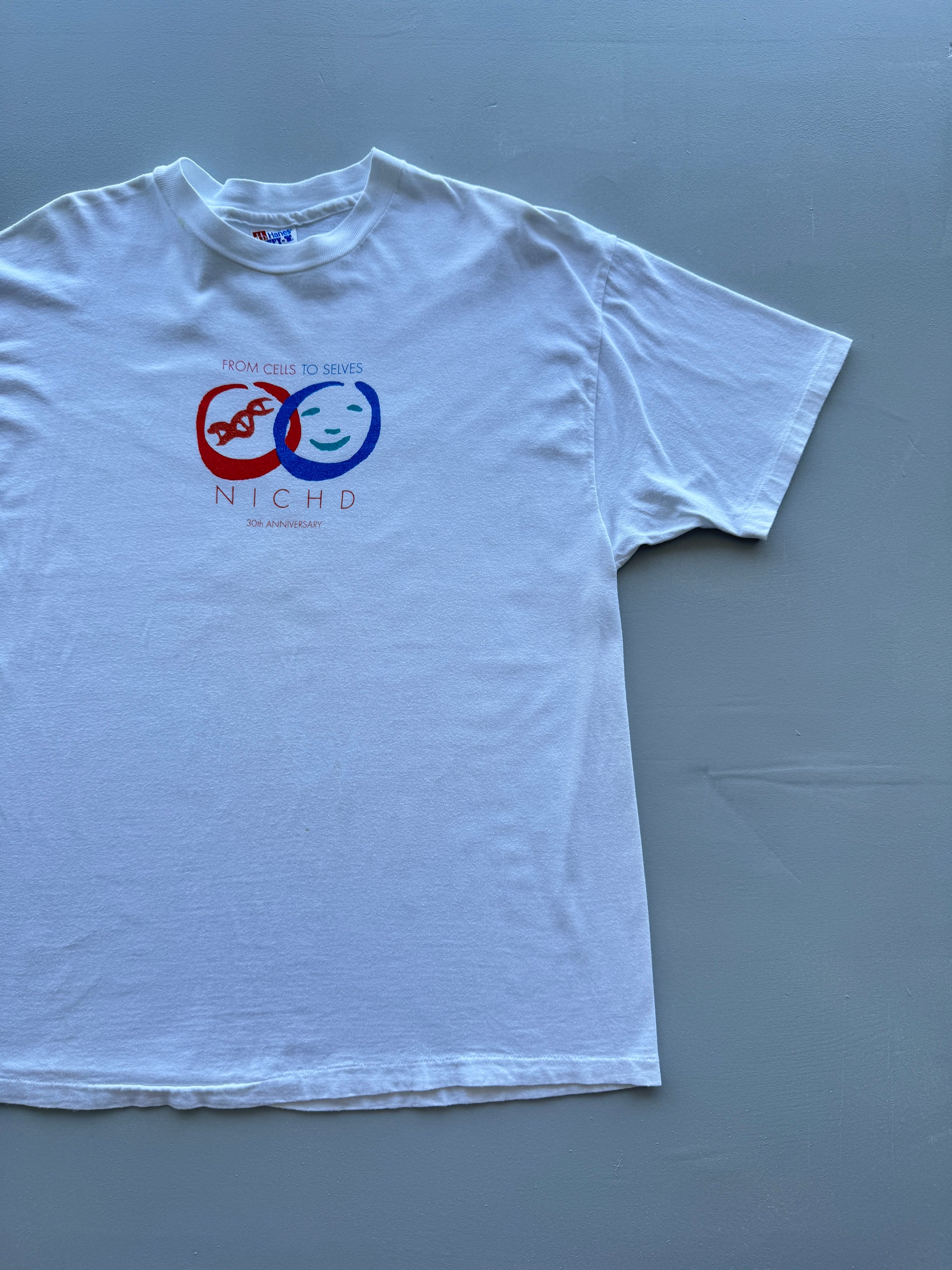 Hanes Beefy-T NICHD 30th Anniversary 90's Vintage Single Stitch T-Shirt - XL
