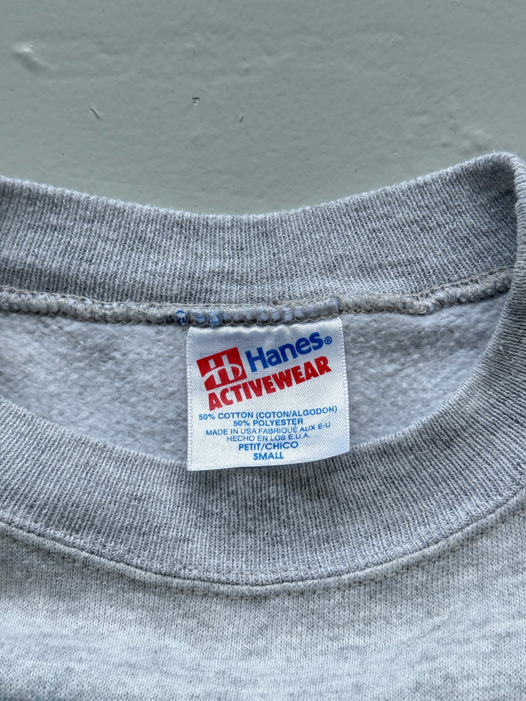Hanes Activewear Wildlife Graphic 90's Vintage Sweatshirt - Women's 6
