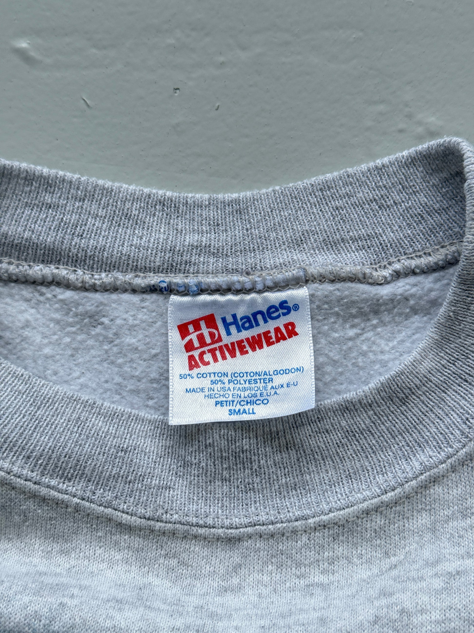 Hanes Activewear Wildlife Graphic 90's Vintage Sweatshirt - Women's 6