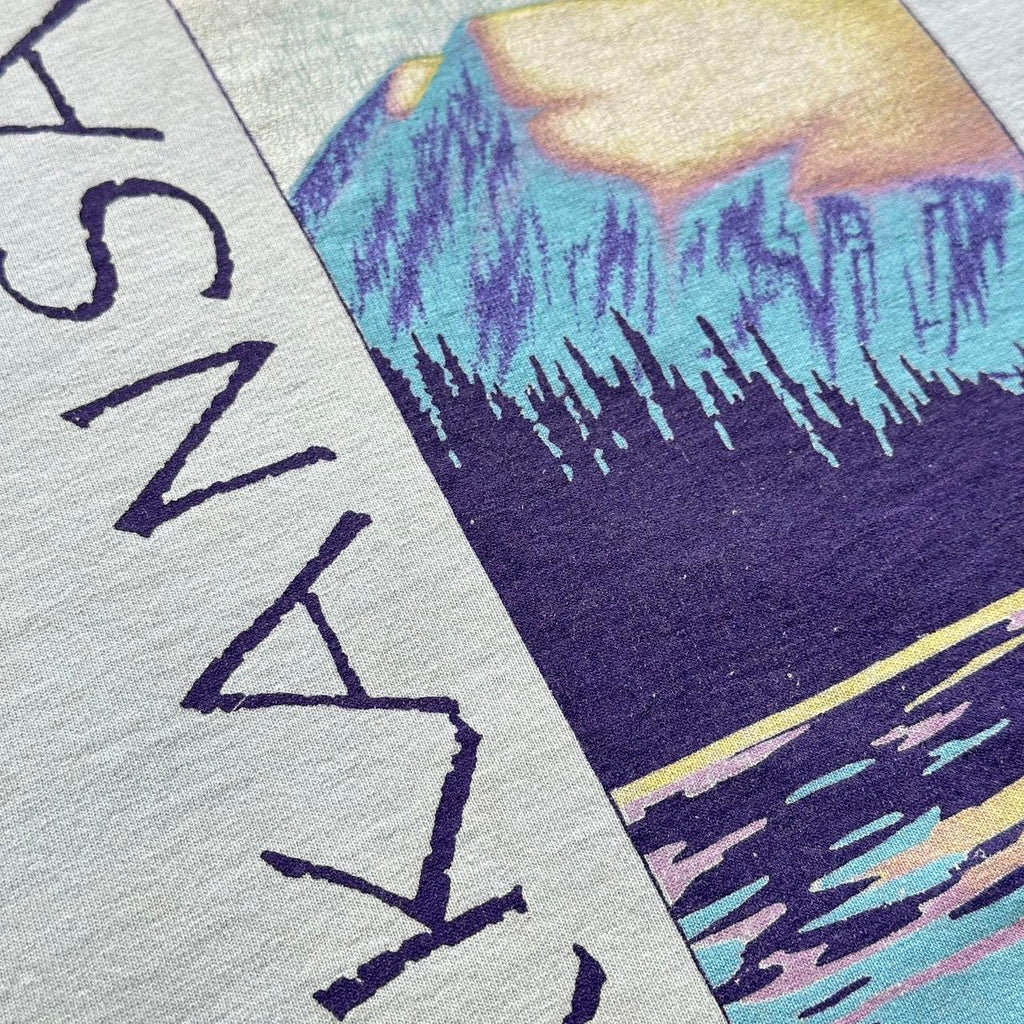 Pale Blue Arkansas Tourist Vintage 90's T-shirt - Large