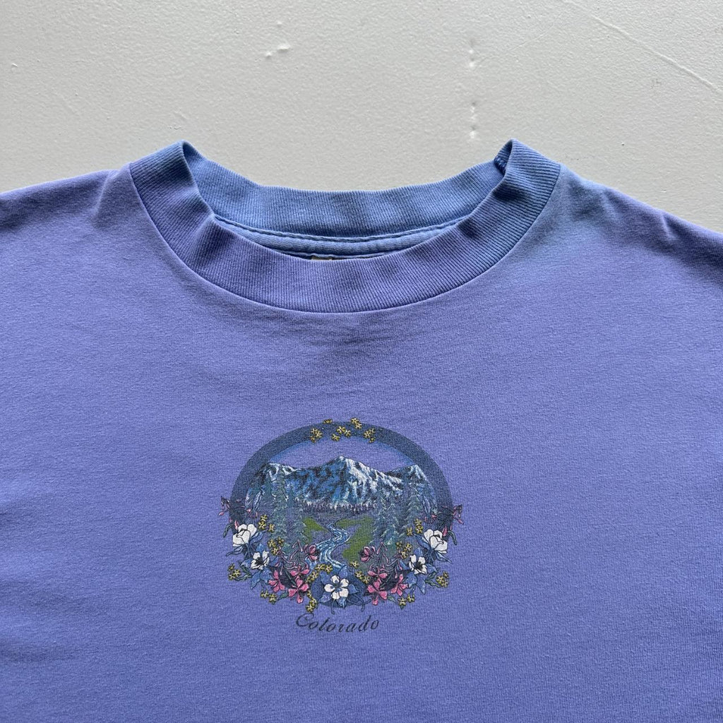 Faded Lilac Colarado Flowers / Mountain 90s Vintage T-shirt - Large
