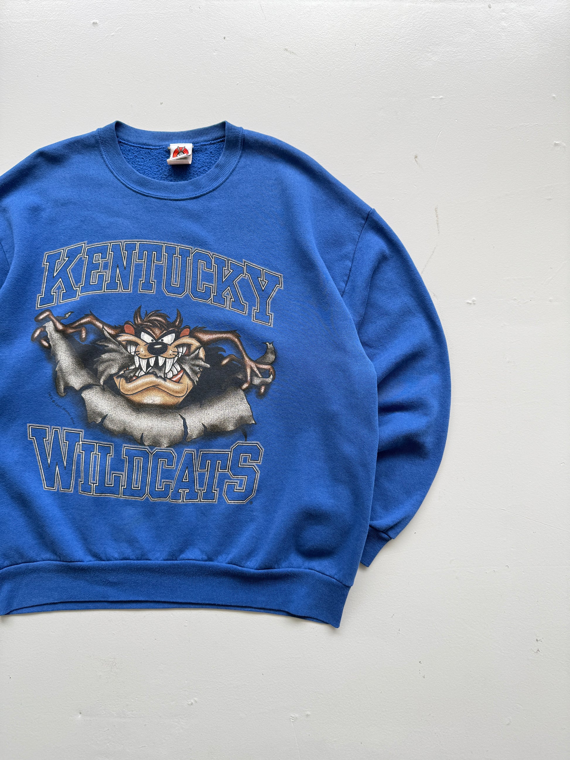 Looney Tunes Kentucky Wildcats Taz 90's Vintage Sweatshirt - XL