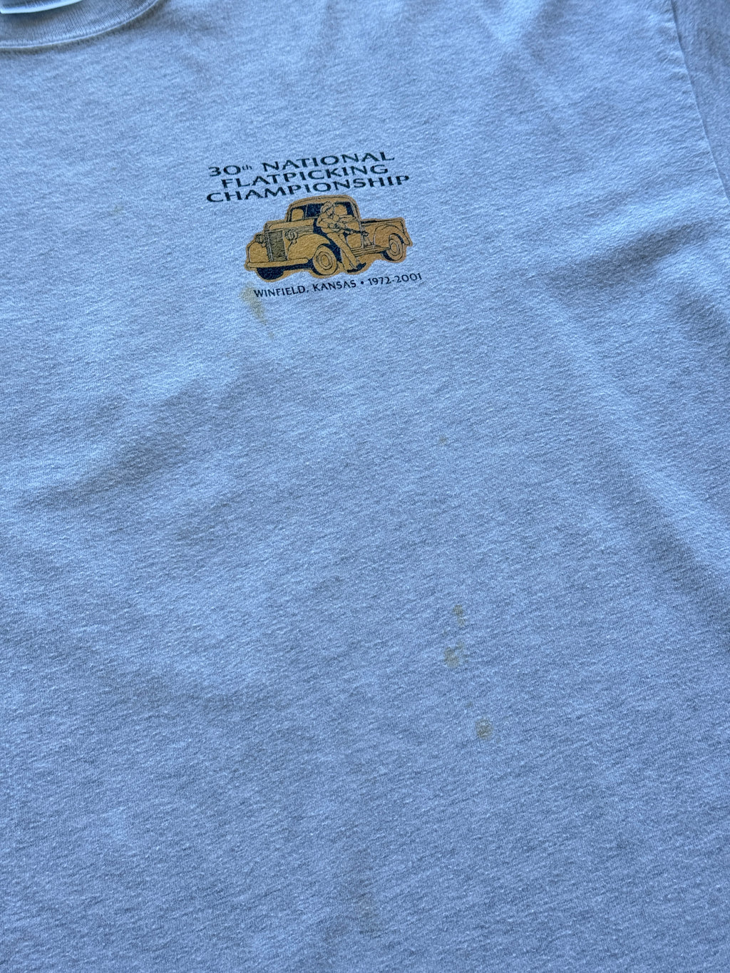 Grey Hanes 30th National Flat picking Championship 2001 Vintage T-Shirt - XL