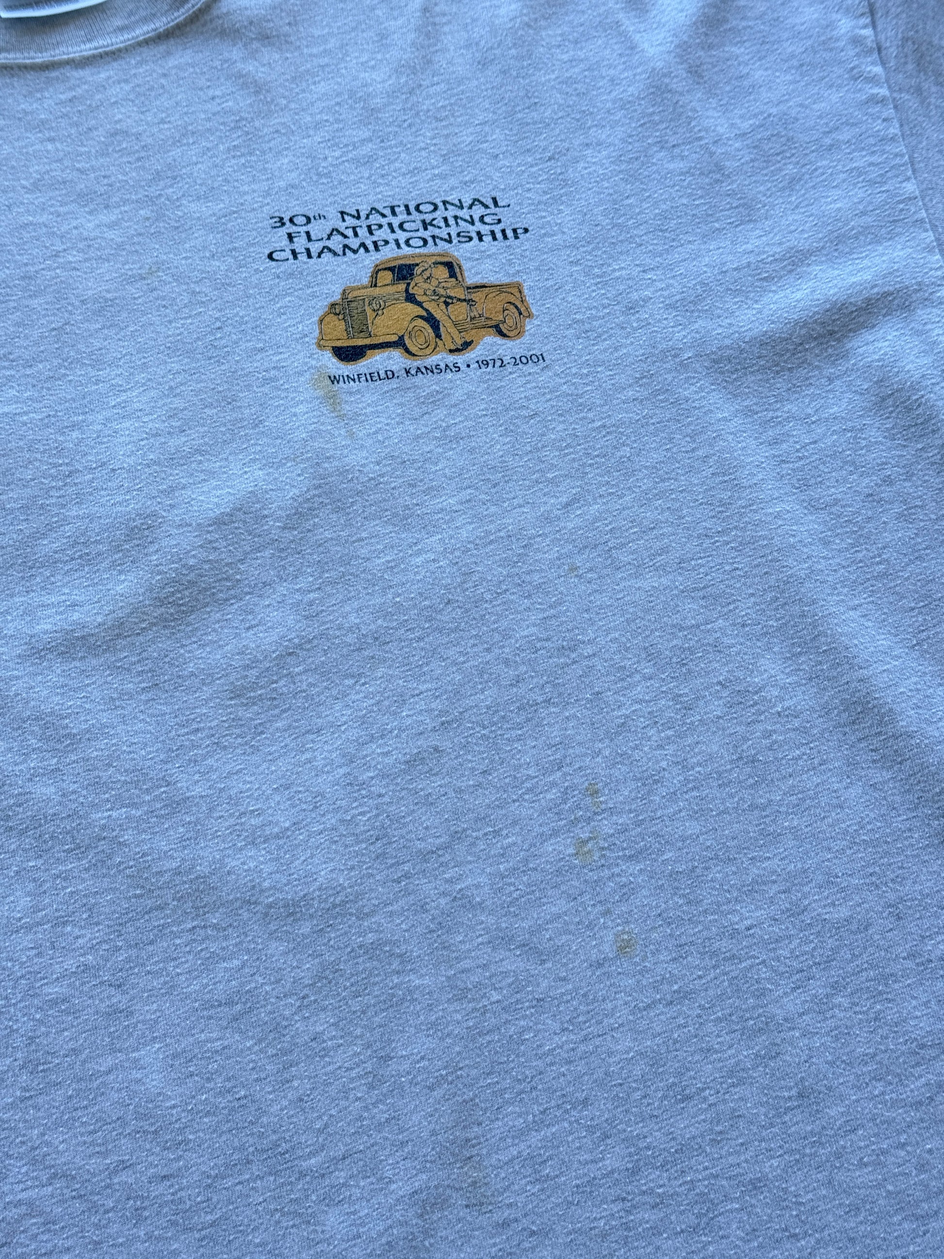 Grey Hanes 30th National Flat picking Championship 2001 Vintage T-Shirt - XL