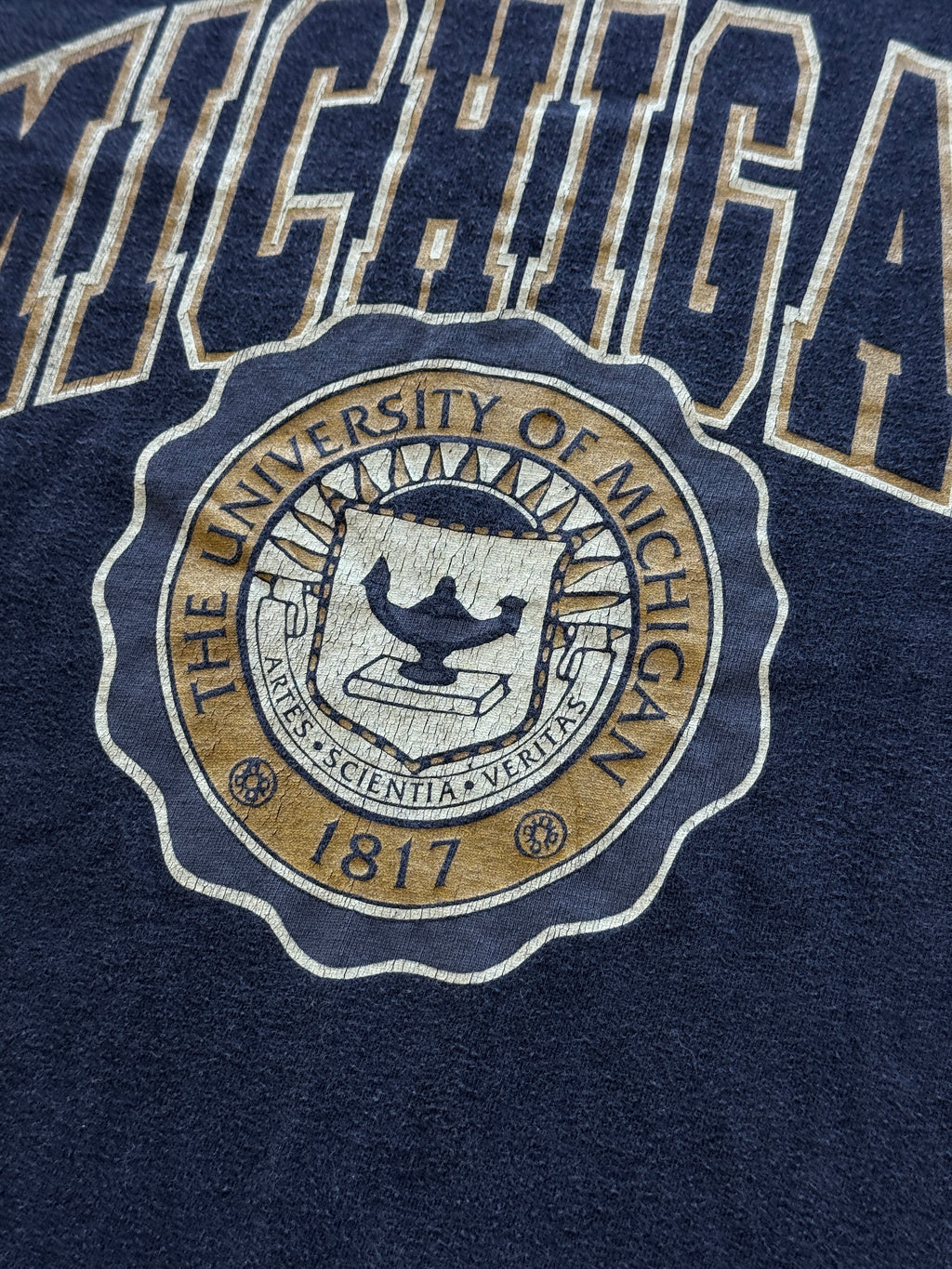 Black University of Michigan 90's Vintage Single Stitch Graphic T-Shirt - Large