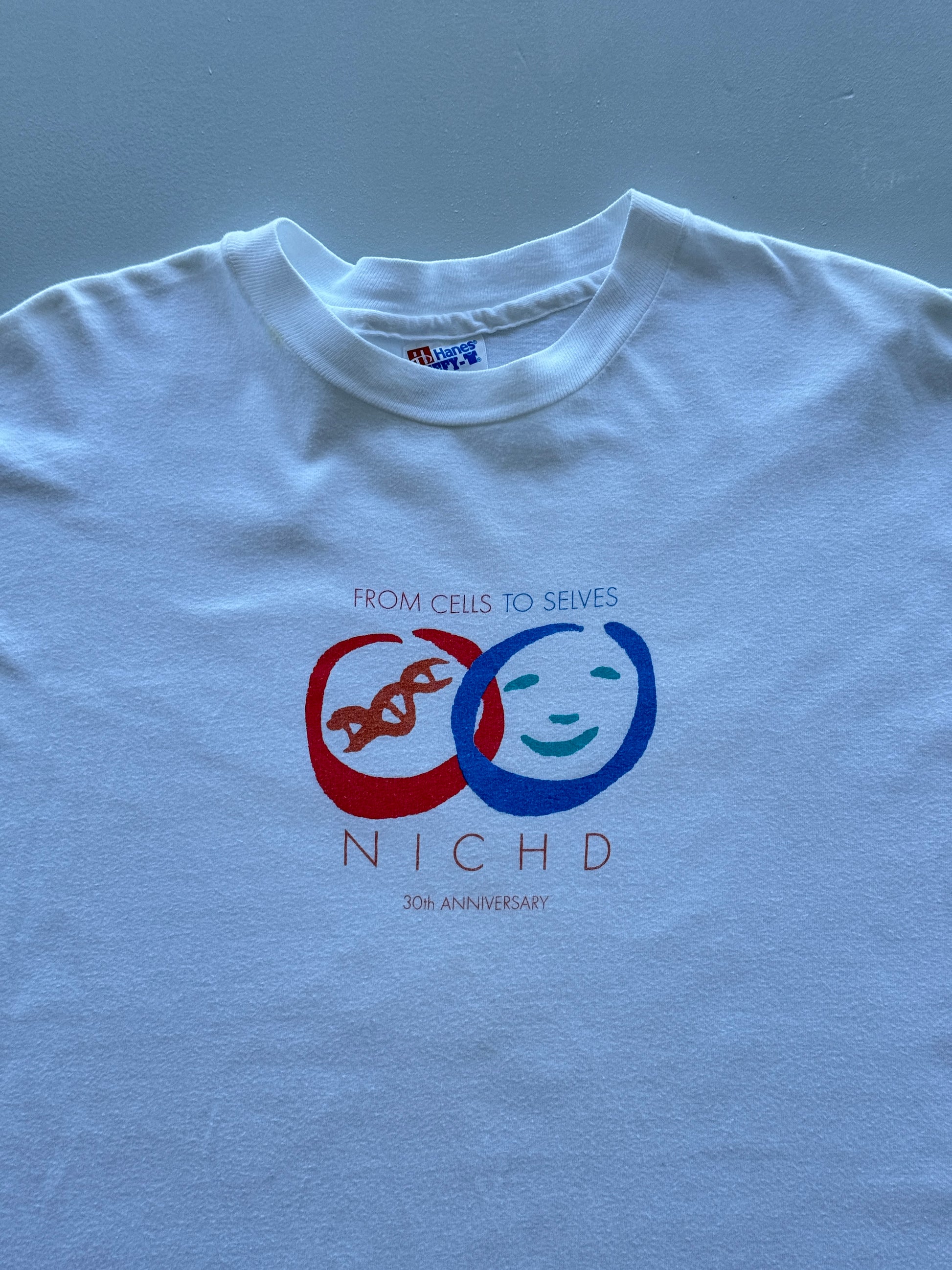 Hanes Beefy-T NICHD 30th Anniversary 90's Vintage Single Stitch T-Shirt - XL