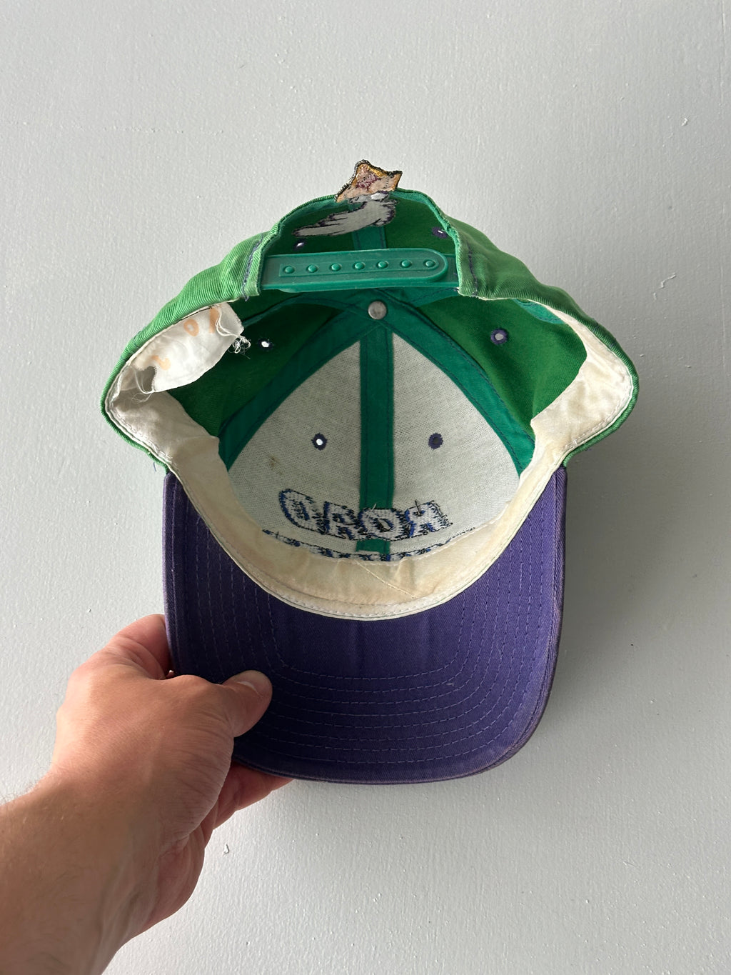 Green / Purple Road Runner Looney Tunes 90's Vintage SnapBack Trucker Cap