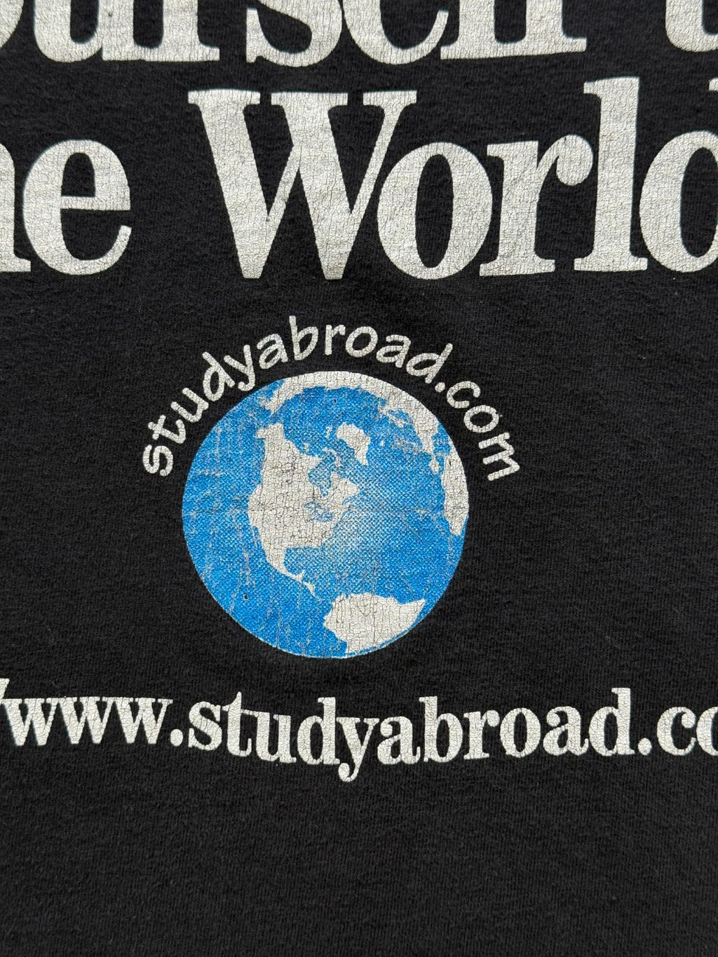 Hanes Beefy 'Expose Yourself to the World' 90's Vintage Graphic T-Shirt - Large