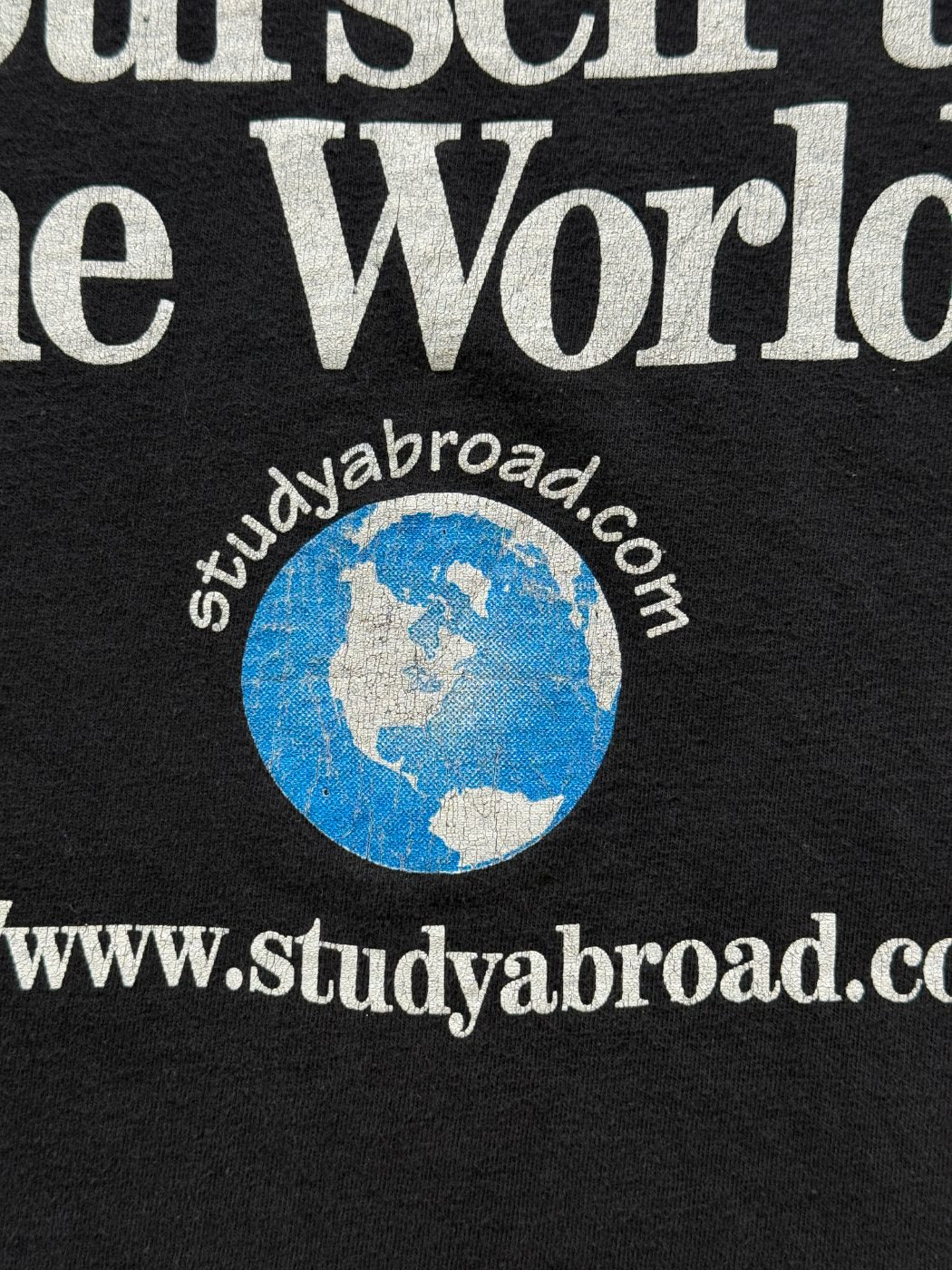 Hanes Beefy 'Expose Yourself to the World' 90's Vintage Graphic T-Shirt - Large
