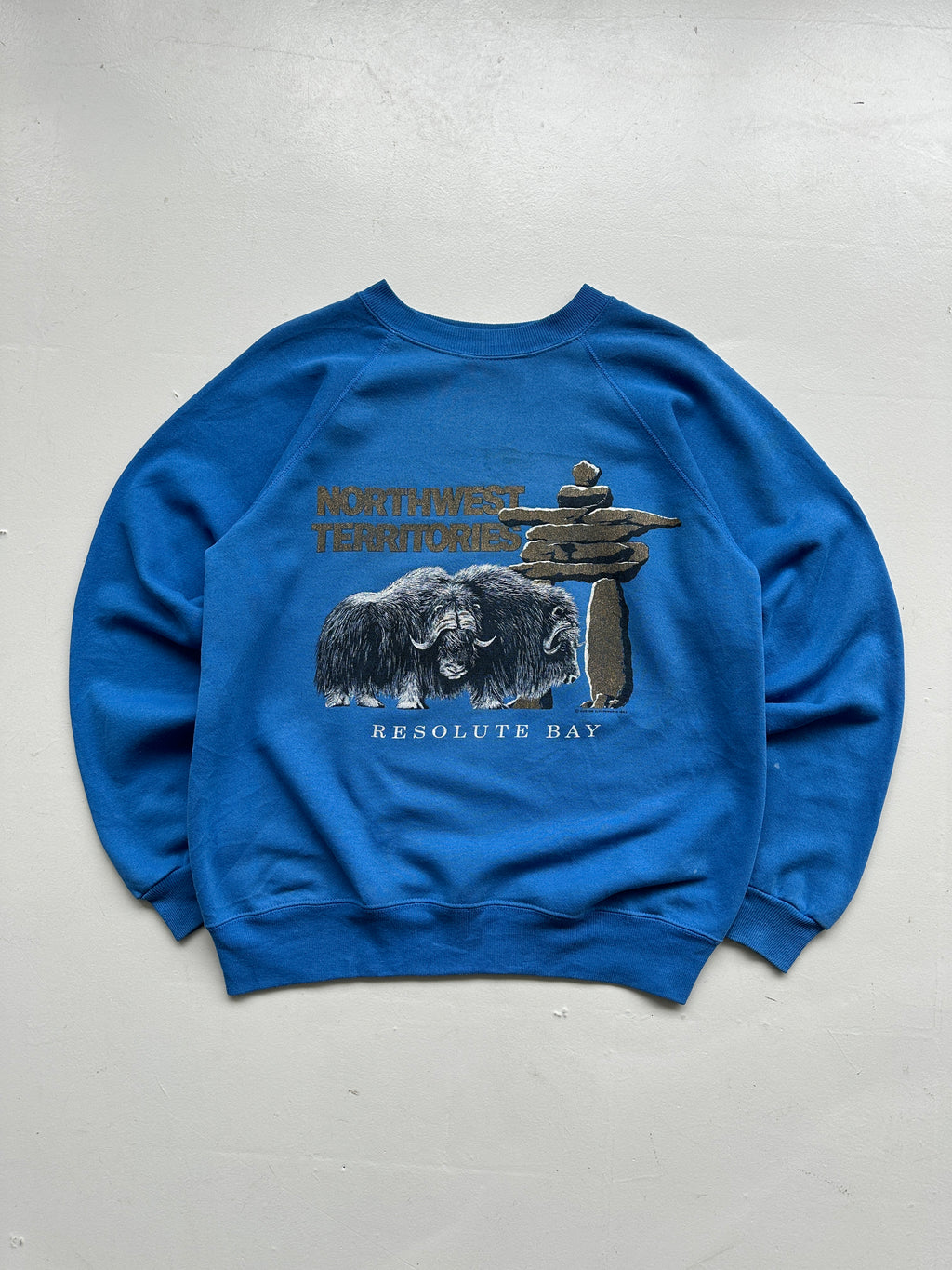 Blue Northwest Territories 90's Vintage Graphic Sweatshirt Jumper - Medium