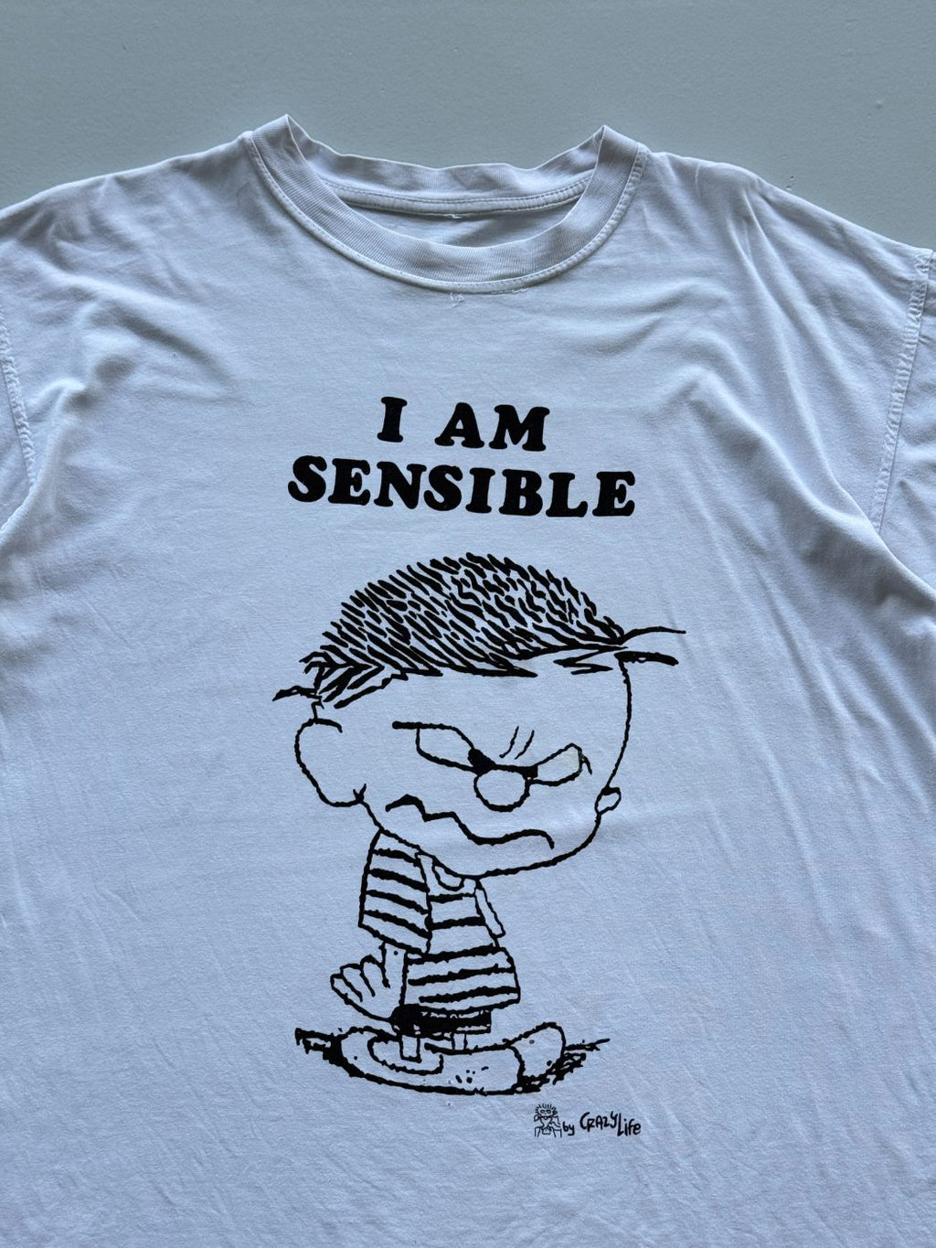 Crazy Life 'I Am Sensible' 90's Vintage Slogan T-Shirt - Large