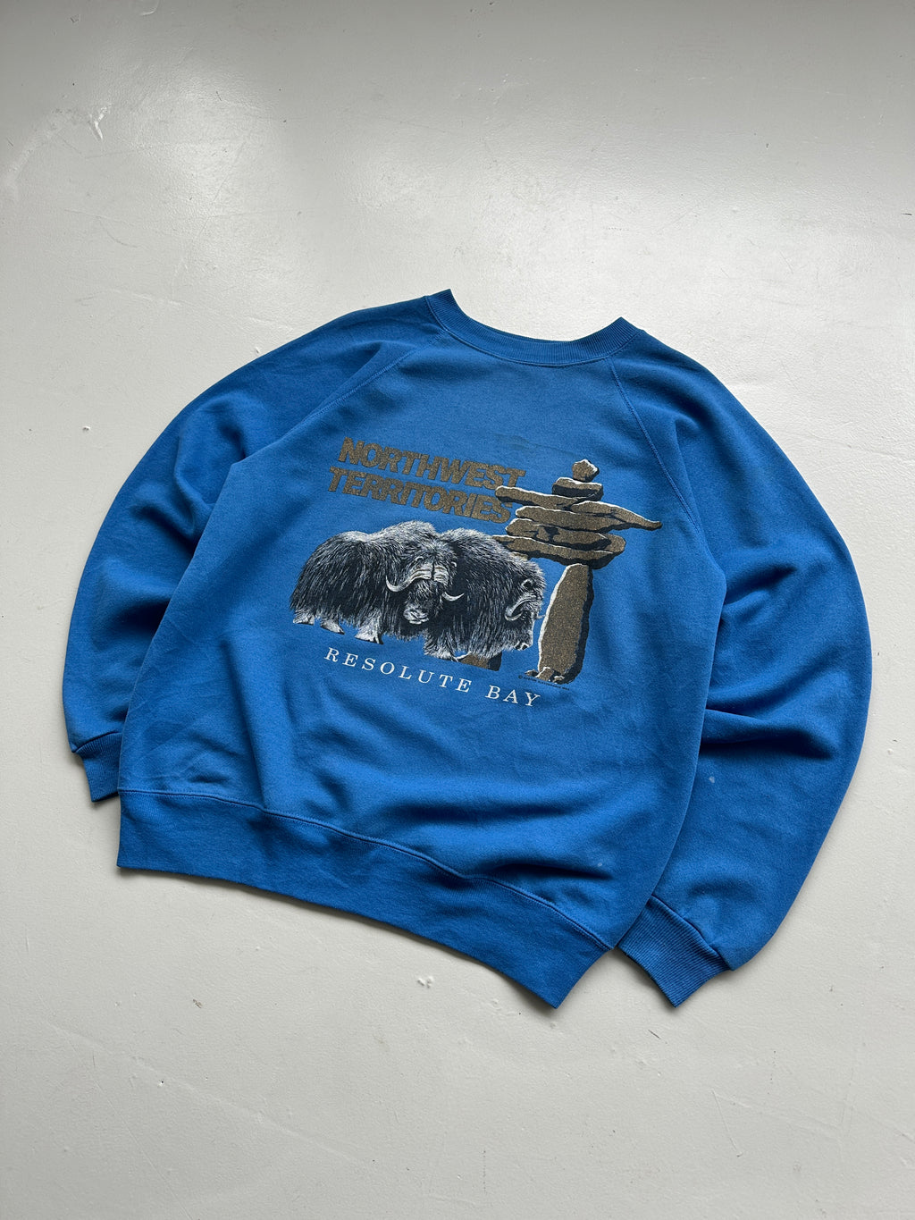 Blue Northwest Territories 90's Vintage Graphic Sweatshirt Jumper - Medium
