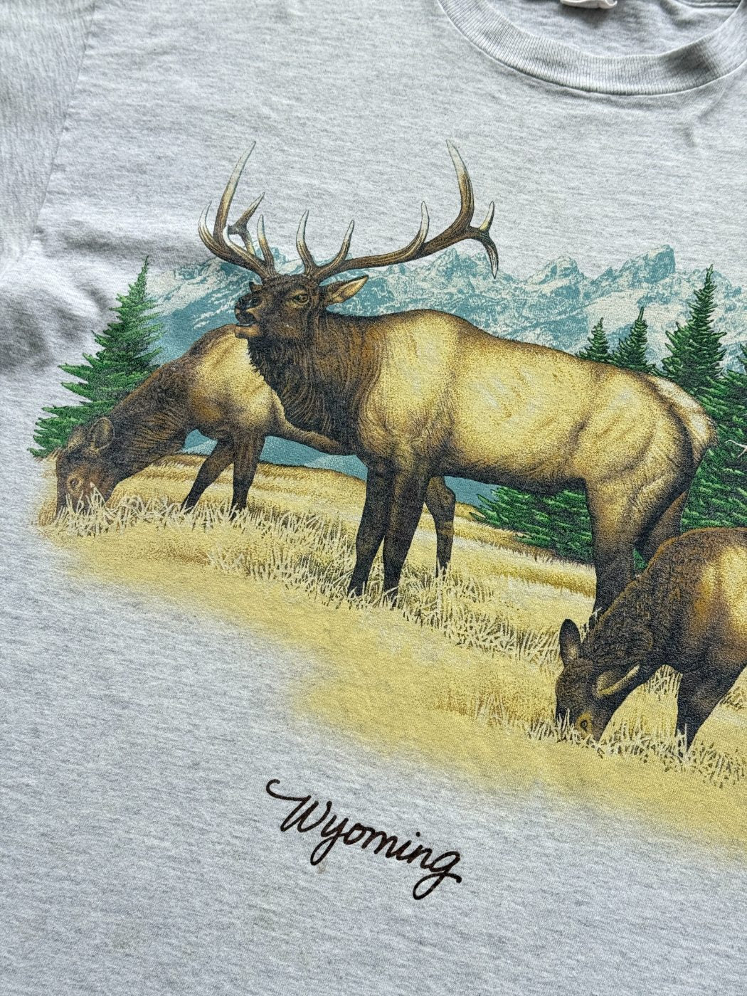 Habitat Wyoming Elk Single Stitch 90's Vintage T-Shirt - Medium