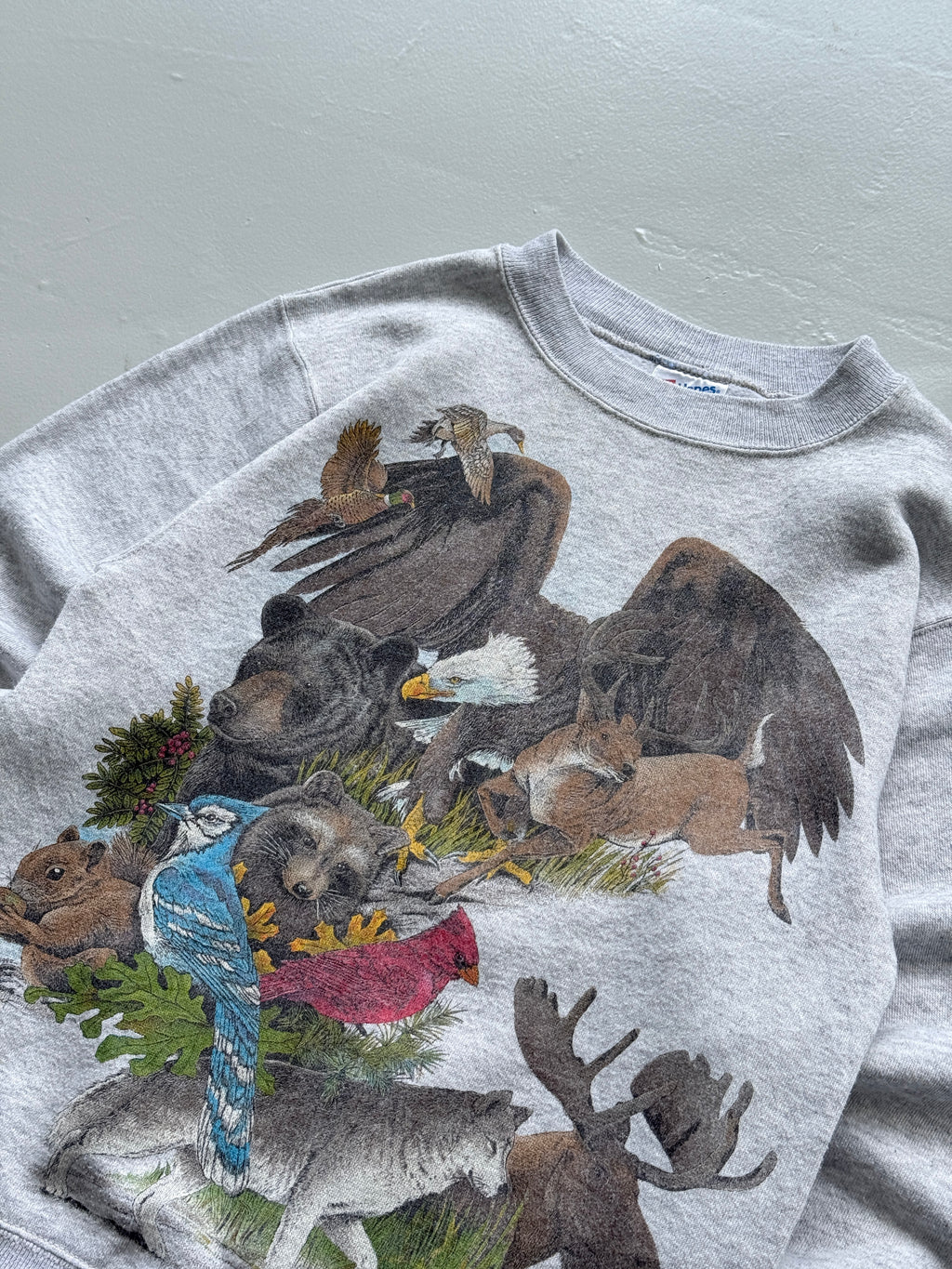 Hanes Activewear Wildlife Graphic 90's Vintage Sweatshirt - Women's 6