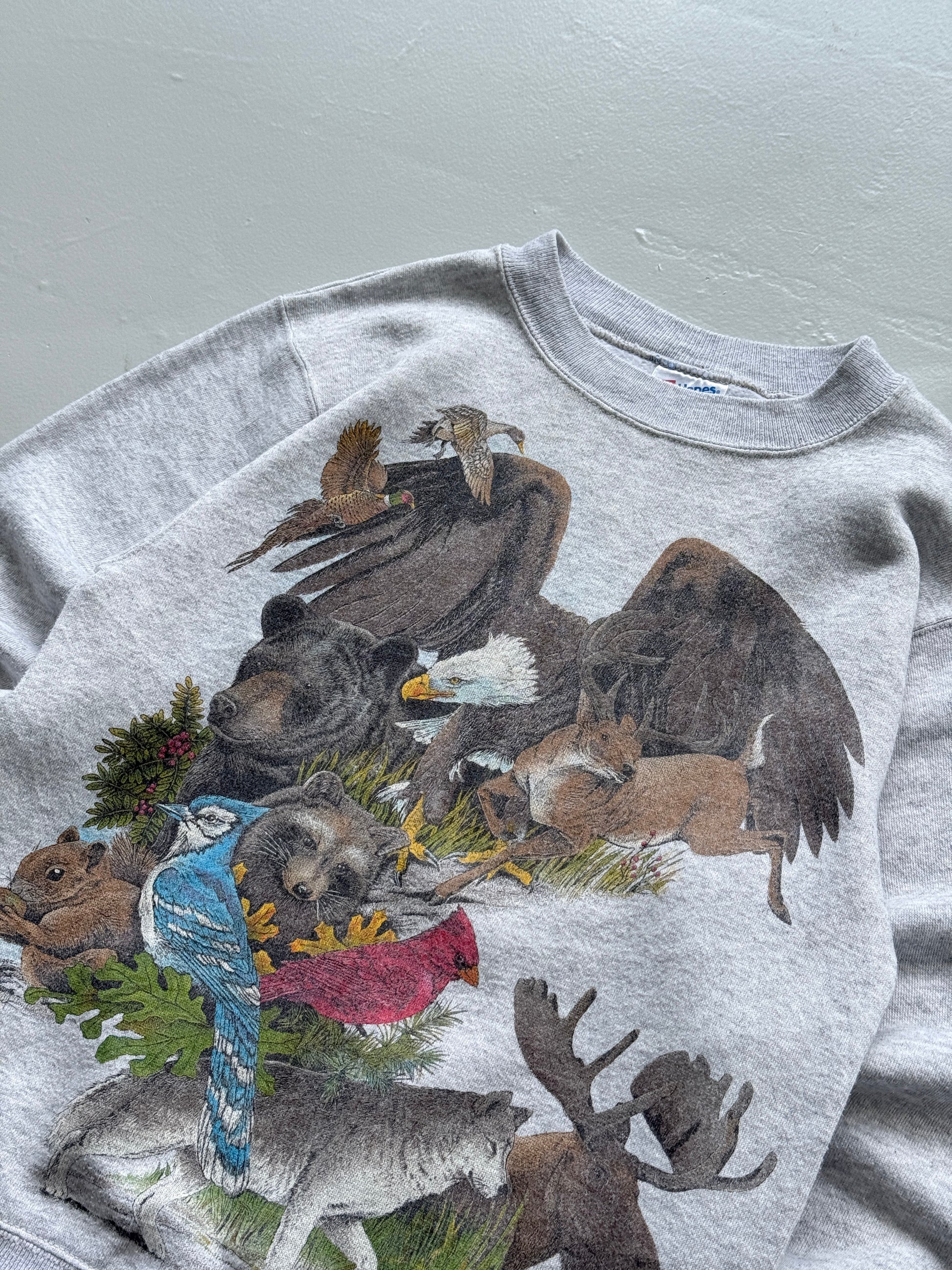 Hanes Activewear Wildlife Graphic 90's Vintage Sweatshirt - Women's 6