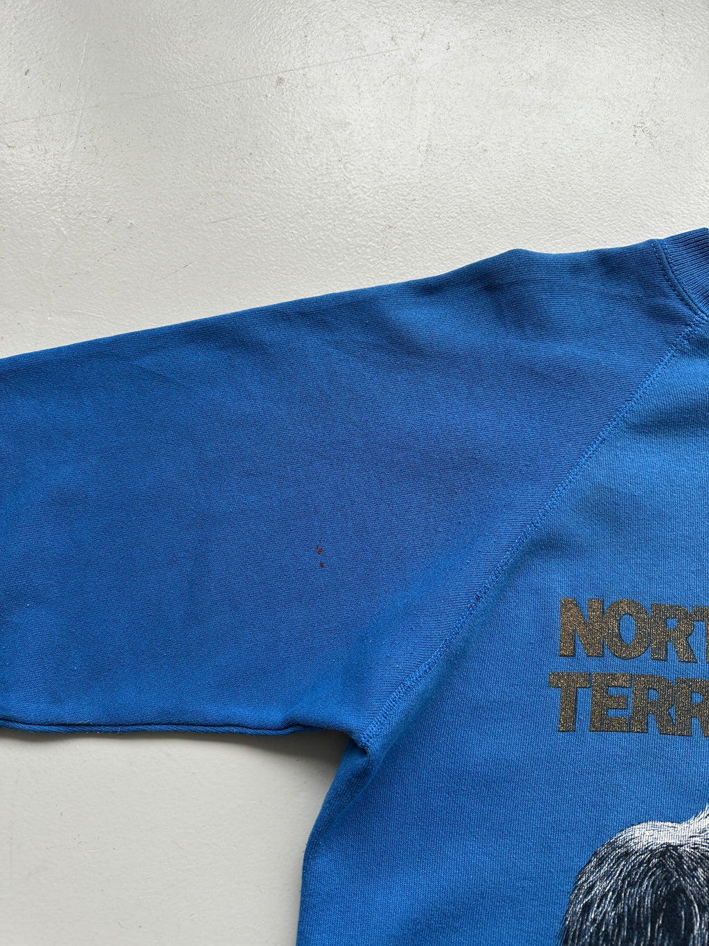 Blue Northwest Territories 90's Vintage Graphic Sweatshirt Jumper - Medium