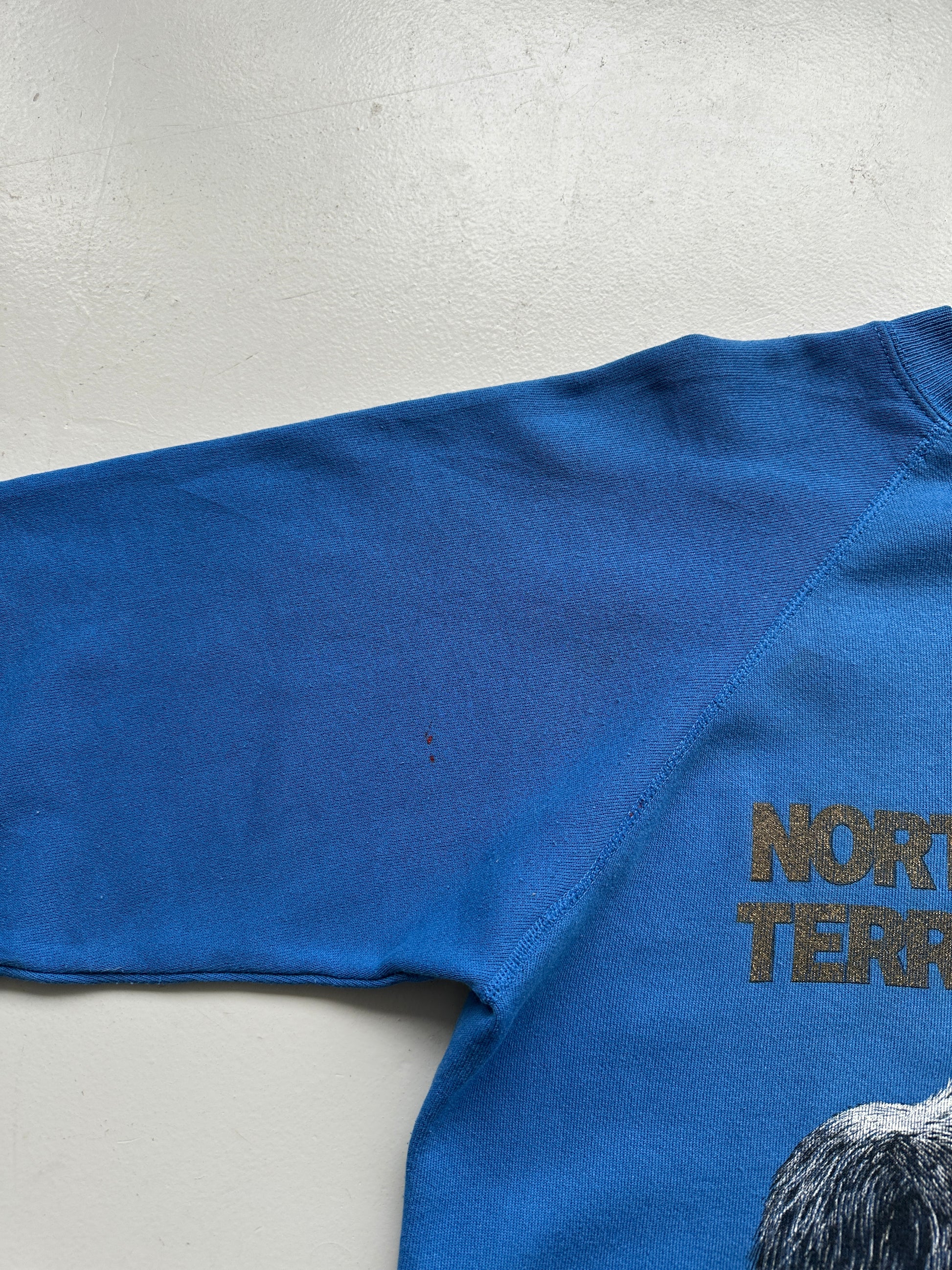 Blue Northwest Territories 90's Vintage Graphic Sweatshirt Jumper - Medium