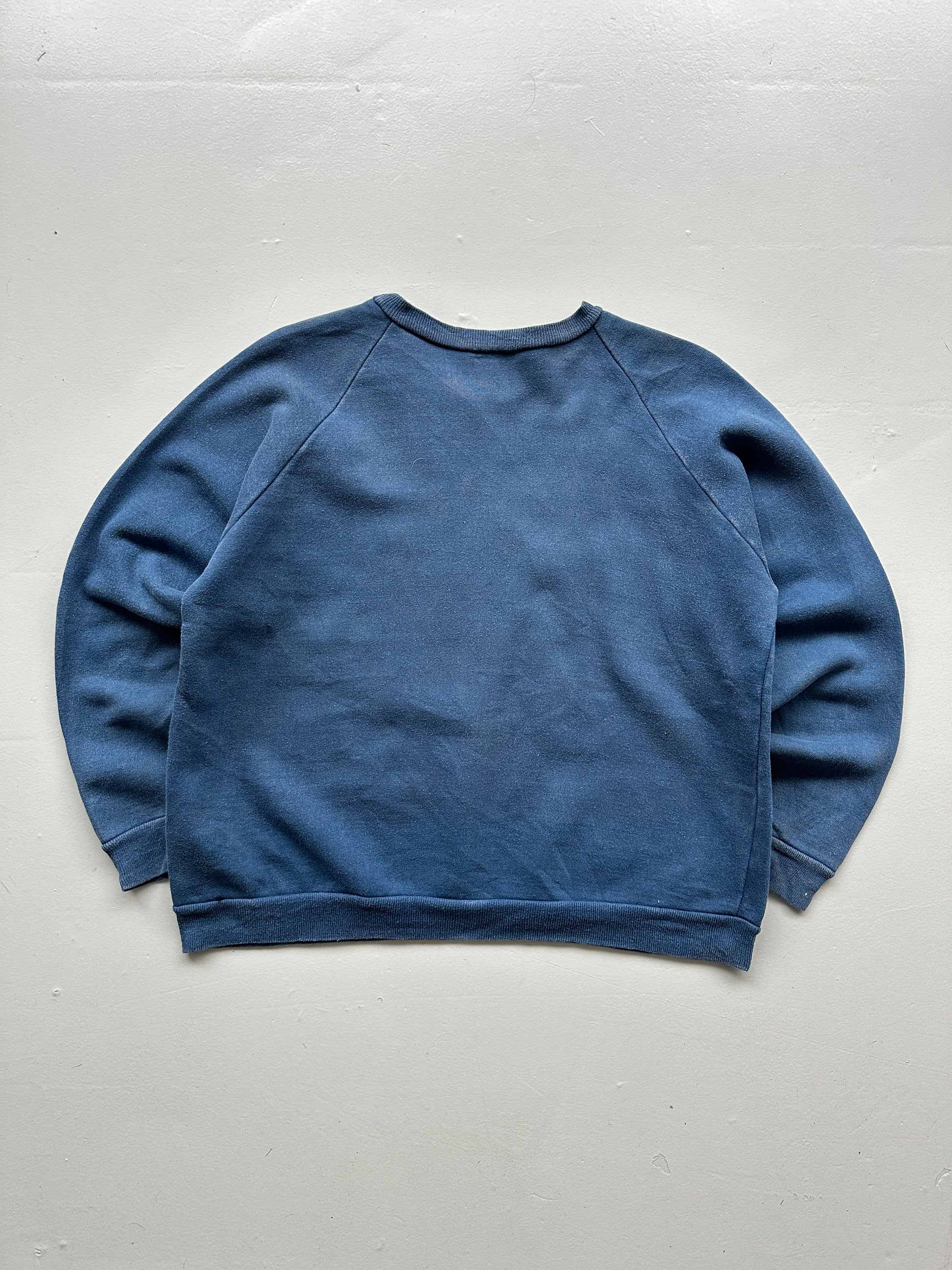 Blue Princeton University 1963 60's/70's Vintage Sweatshirt - Women's 8-10