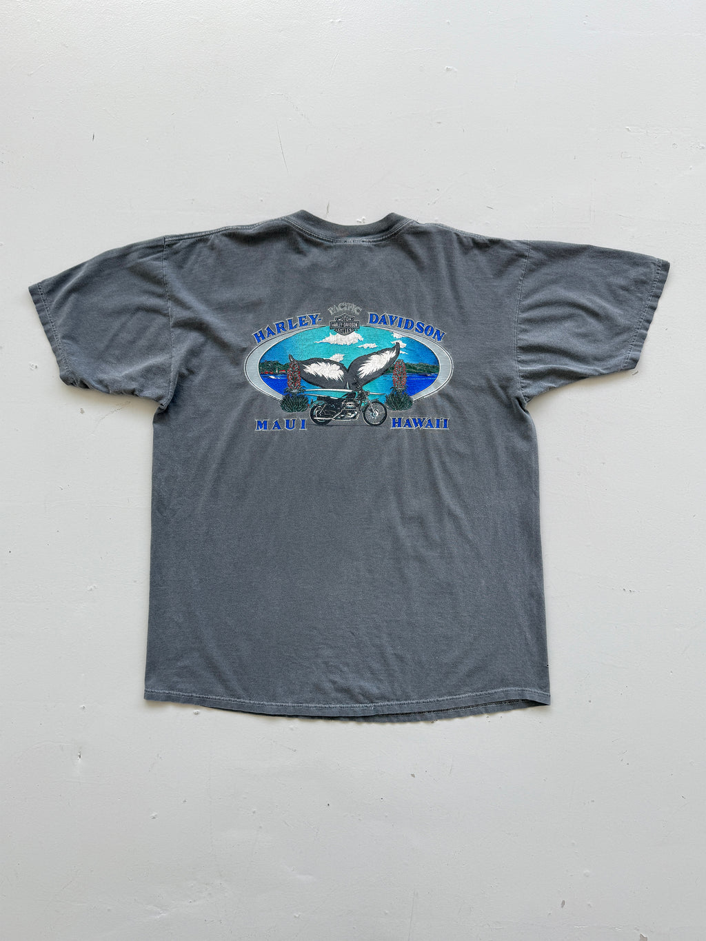 Grey Harley Davidson 90's Vintage Sun Faded Graphic T-Shirt - XL