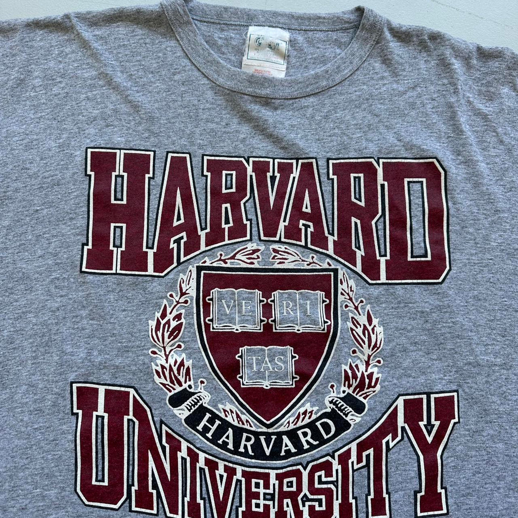 Harvard University Grey 90s Vintage T-shirt - 2XL