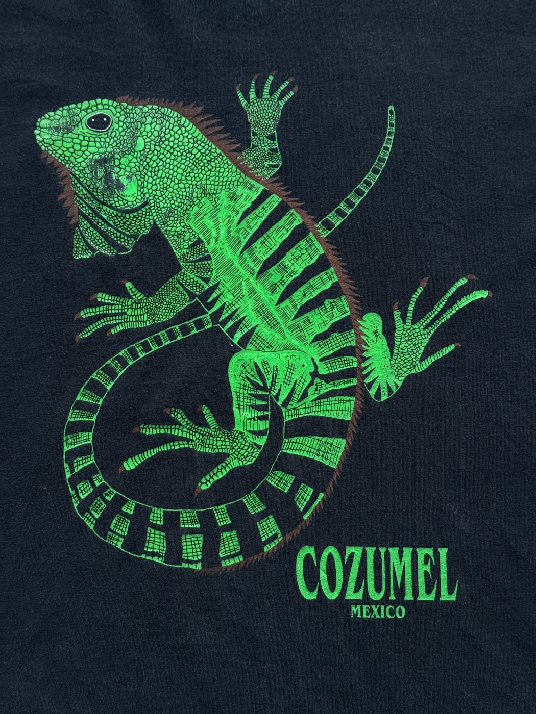 American Vintage Cozumel Mexico Iguana Vintage Tourist T-Shirt - Extra Large