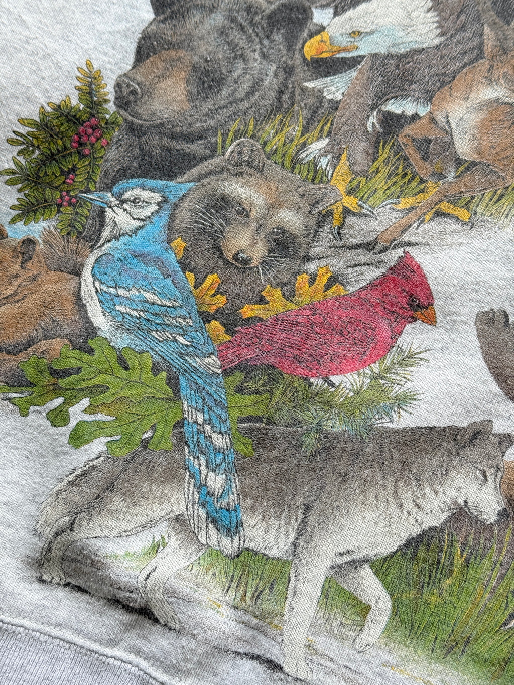 Hanes Activewear Wildlife Graphic 90's Vintage Sweatshirt - Women's 6