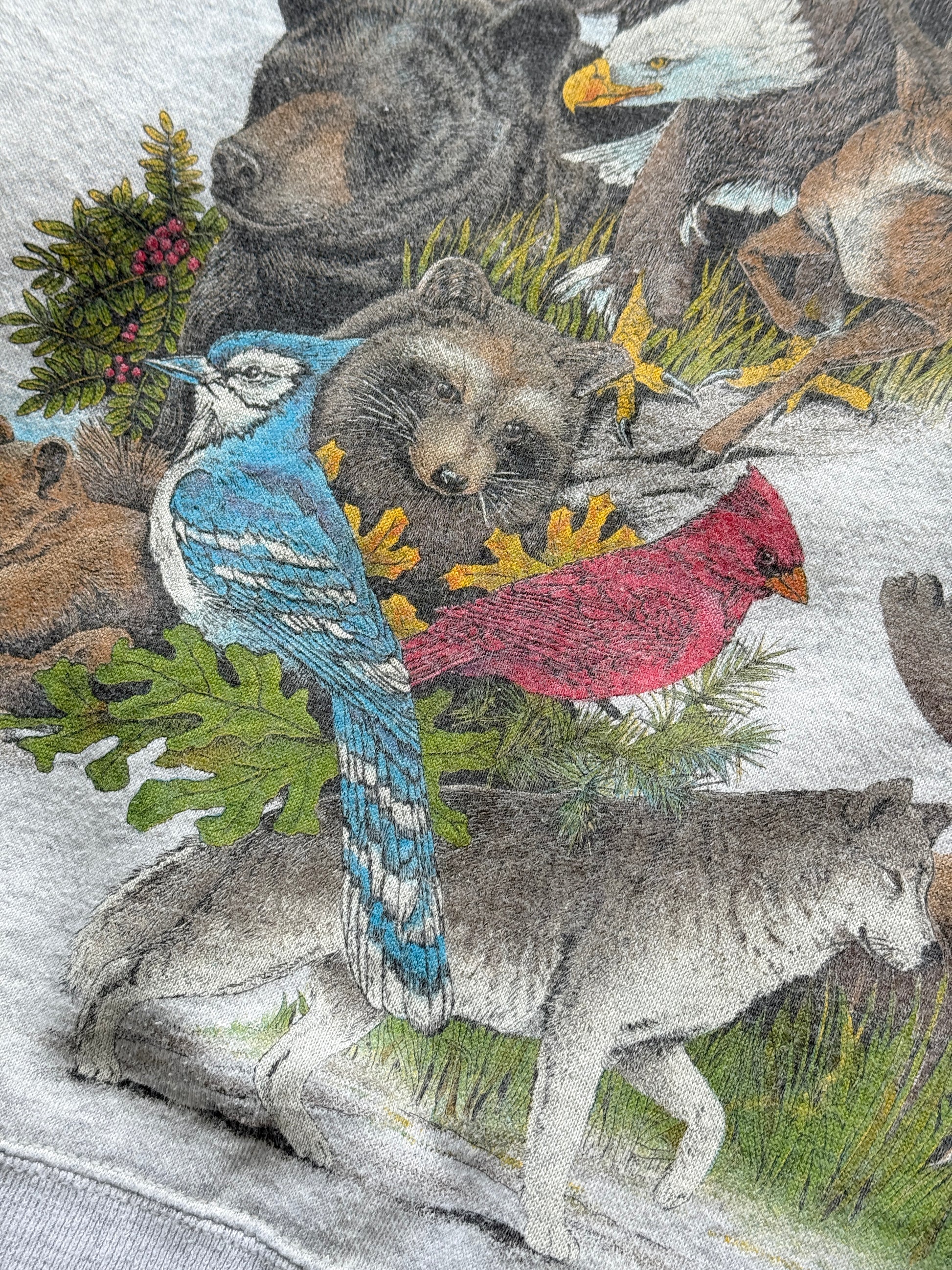 Hanes Activewear Wildlife Graphic 90's Vintage Sweatshirt - Women's 6