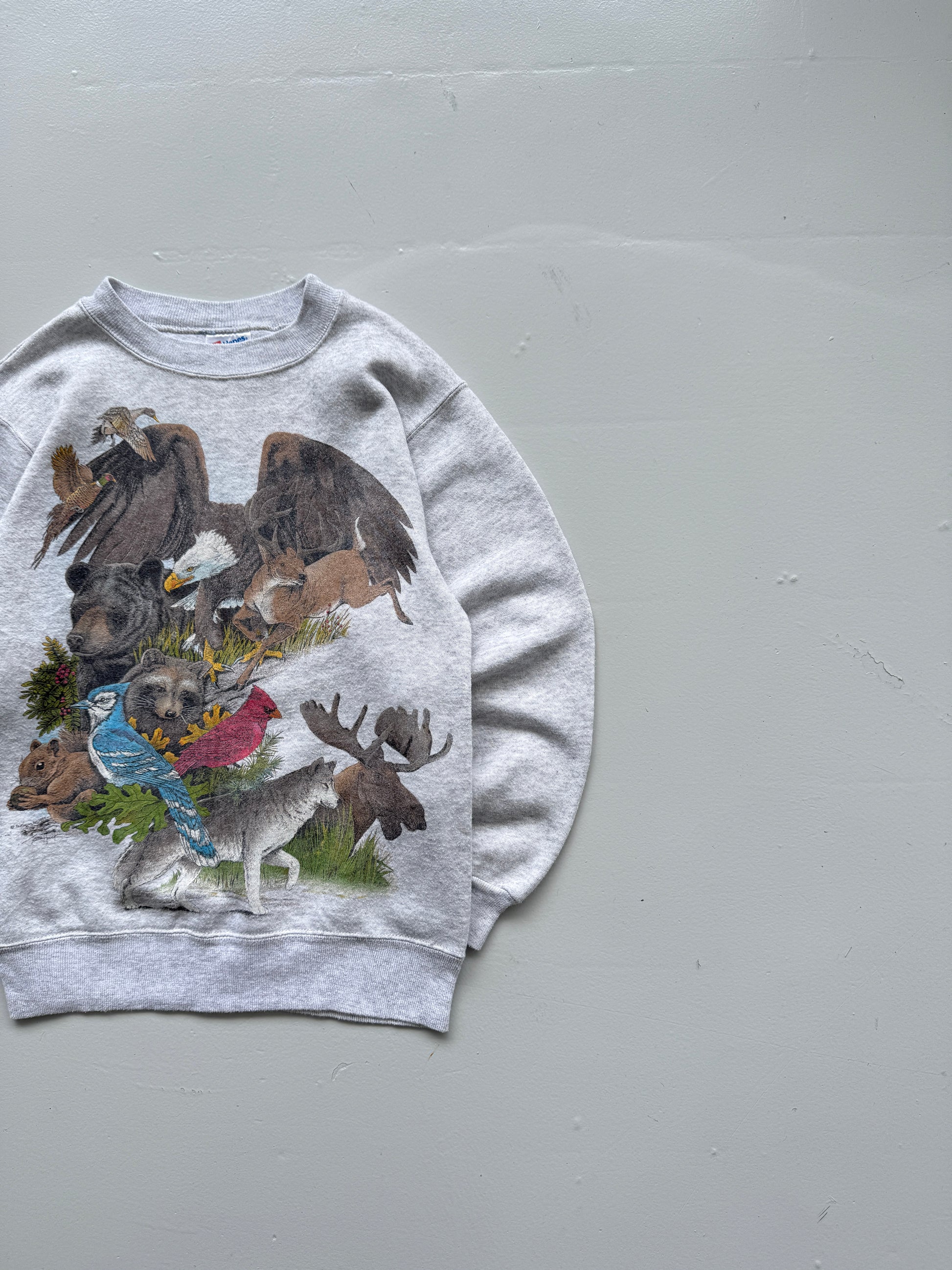 Hanes Activewear Wildlife Graphic 90's Vintage Sweatshirt - Women's 6