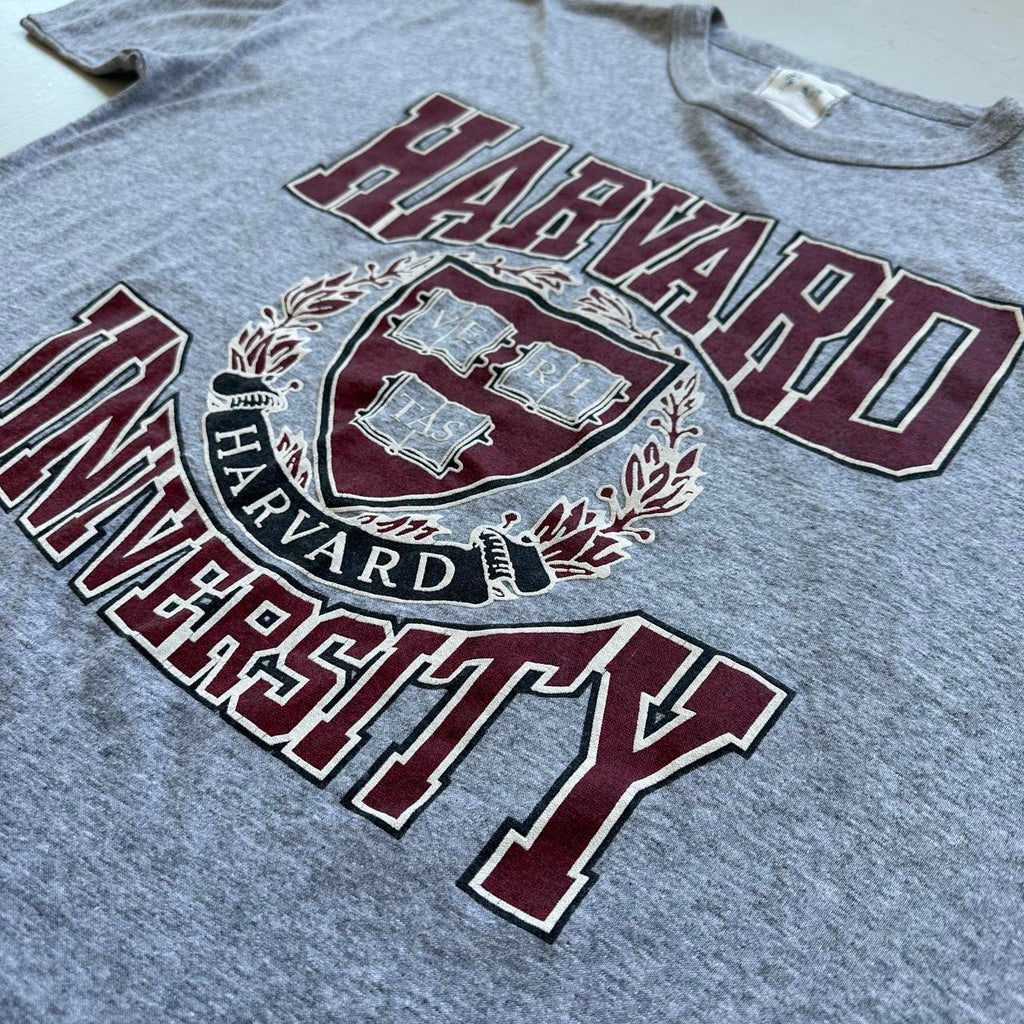 Harvard University Grey 90s Vintage T-shirt - 2XL