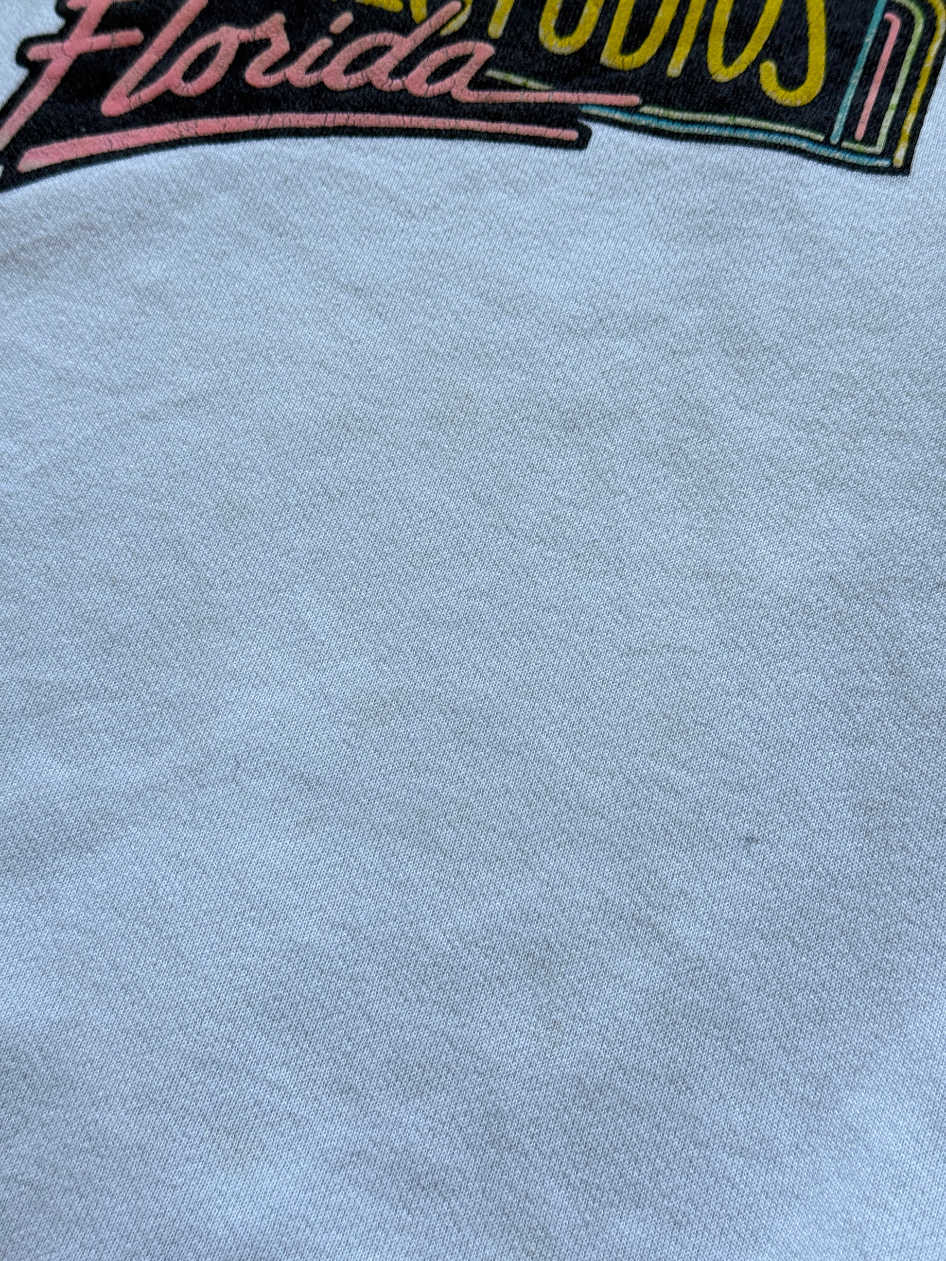 Universal Studios Florida 90's Vintage Sweatshirt - Medium