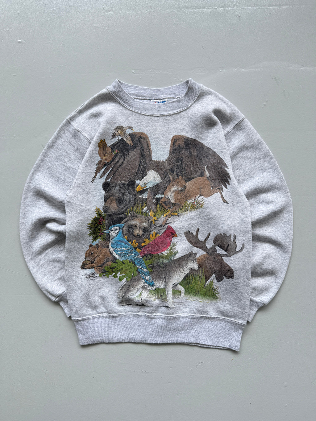Hanes Activewear Wildlife Graphic 90's Vintage Sweatshirt - Women's 6