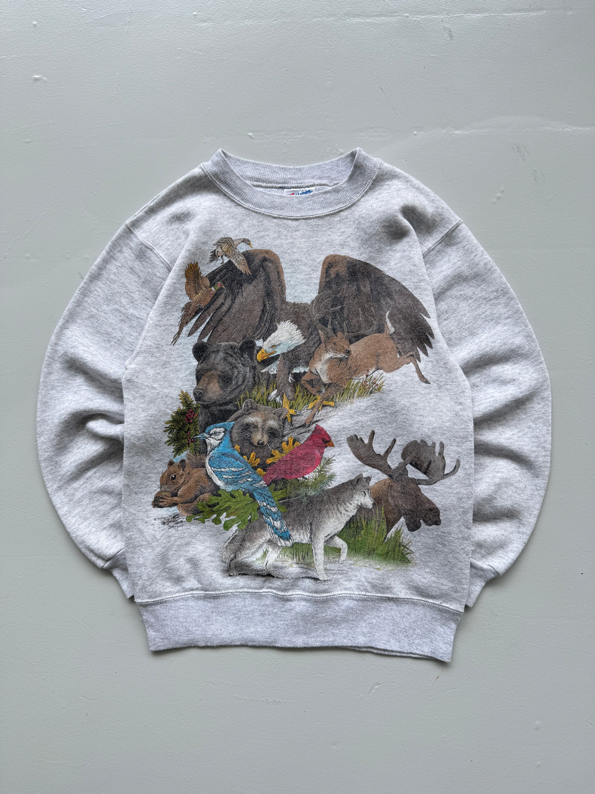 Hanes Activewear Wildlife Graphic 90's Vintage Sweatshirt - Women's 6
