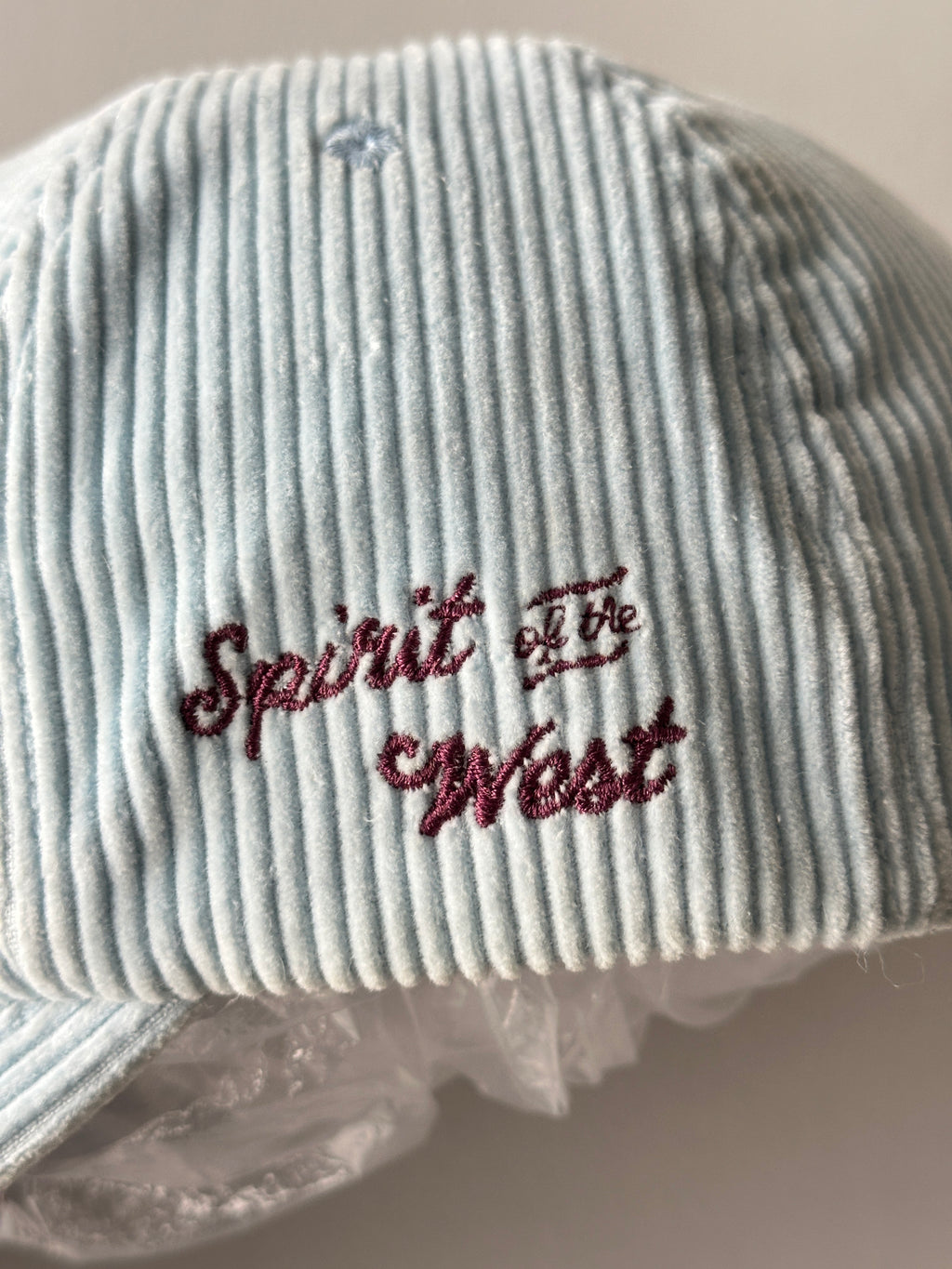 Light Blue Sendero Provisions Co. Spirit of the West Vintage SnapBack Trucker Ca
